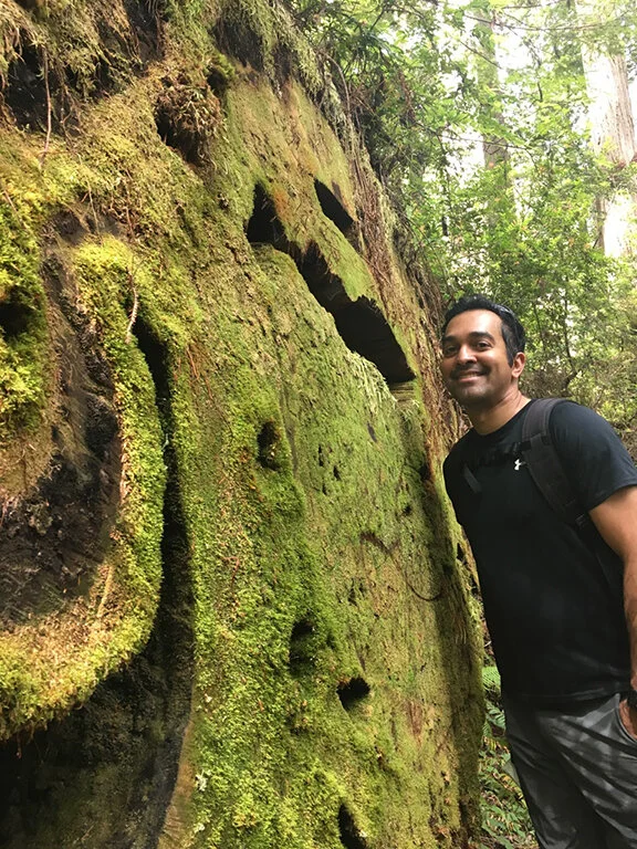 Hiking through the Redwood Forest, California (©Deborah Clague, 2019).
