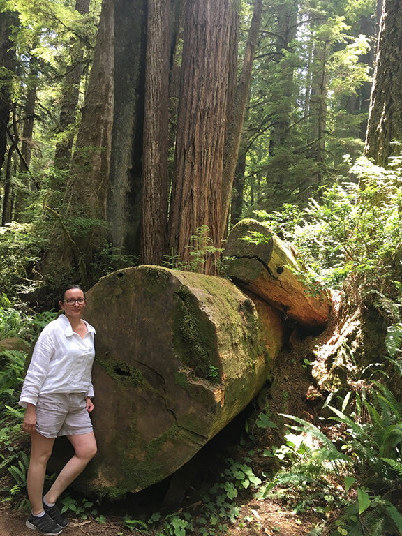 Hiking through the Redwood Forest, California (©Deborah Clague, 2019).