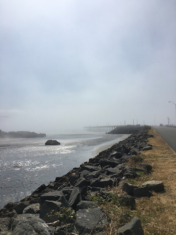 Pier at Crescent City, California (©Deborah Clague, 2019).