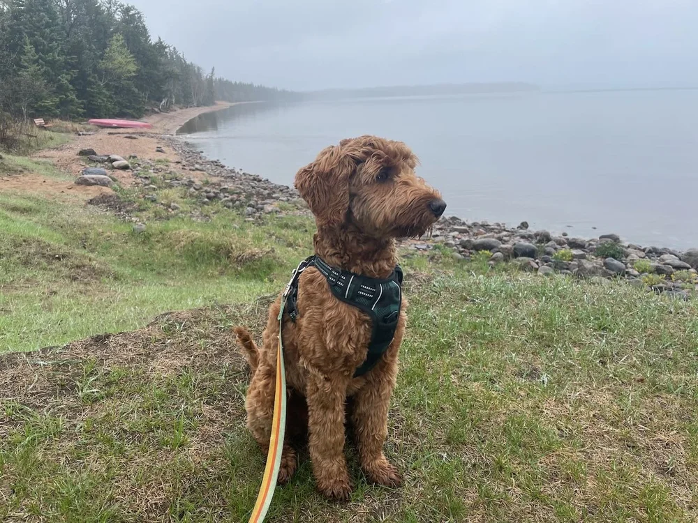  At Prince Albert National Park. 