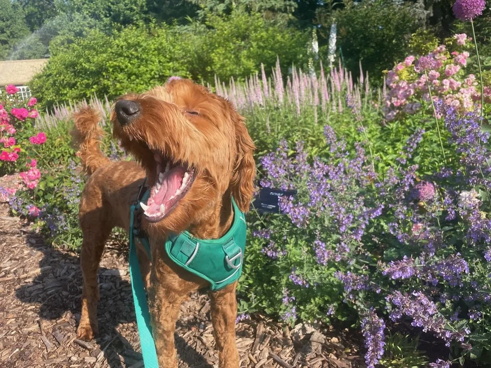  At Assiniboine Park’s English Garden, Winnipeg, Manitoba.  