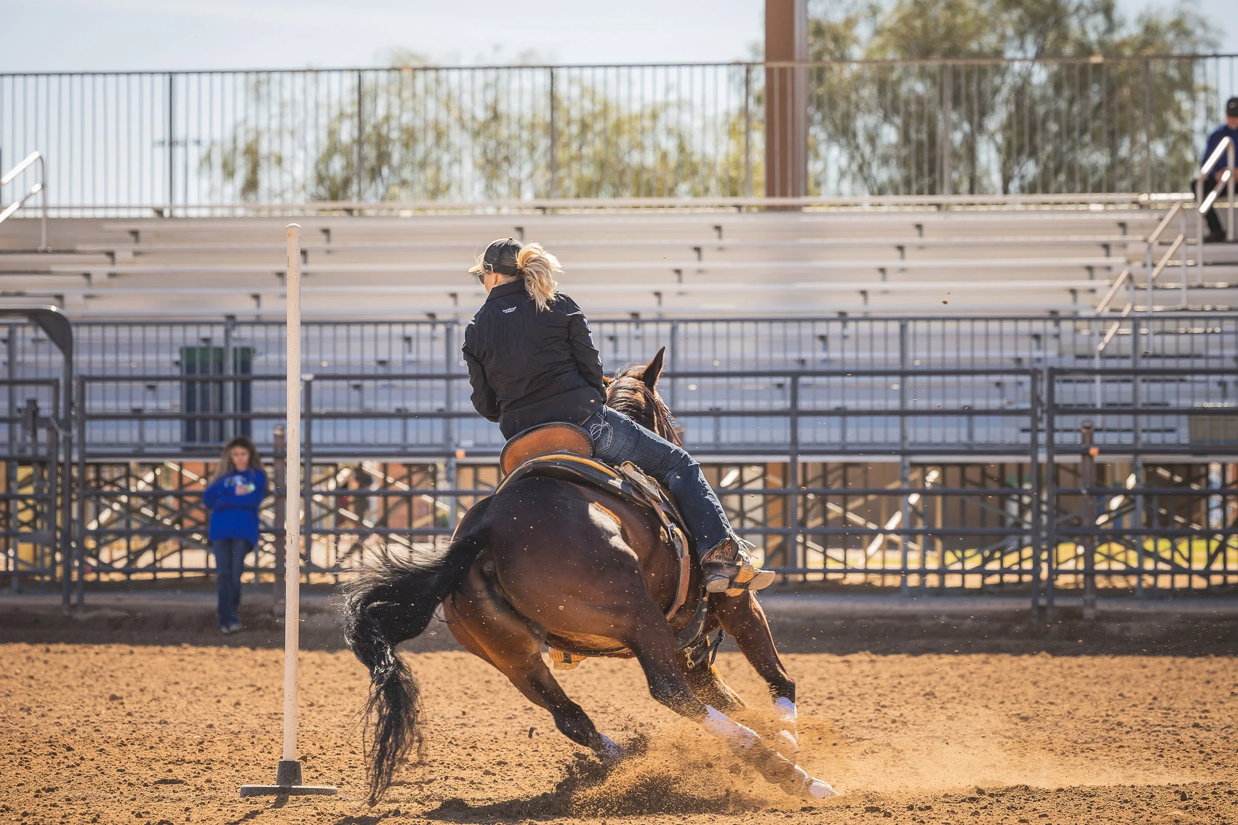 Regina Poles 21Feb26.jpg