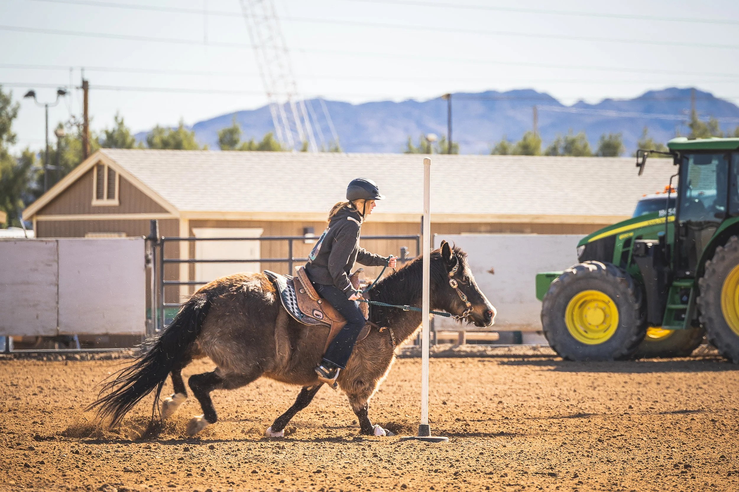 Buckwheat 21Feb26.jpg