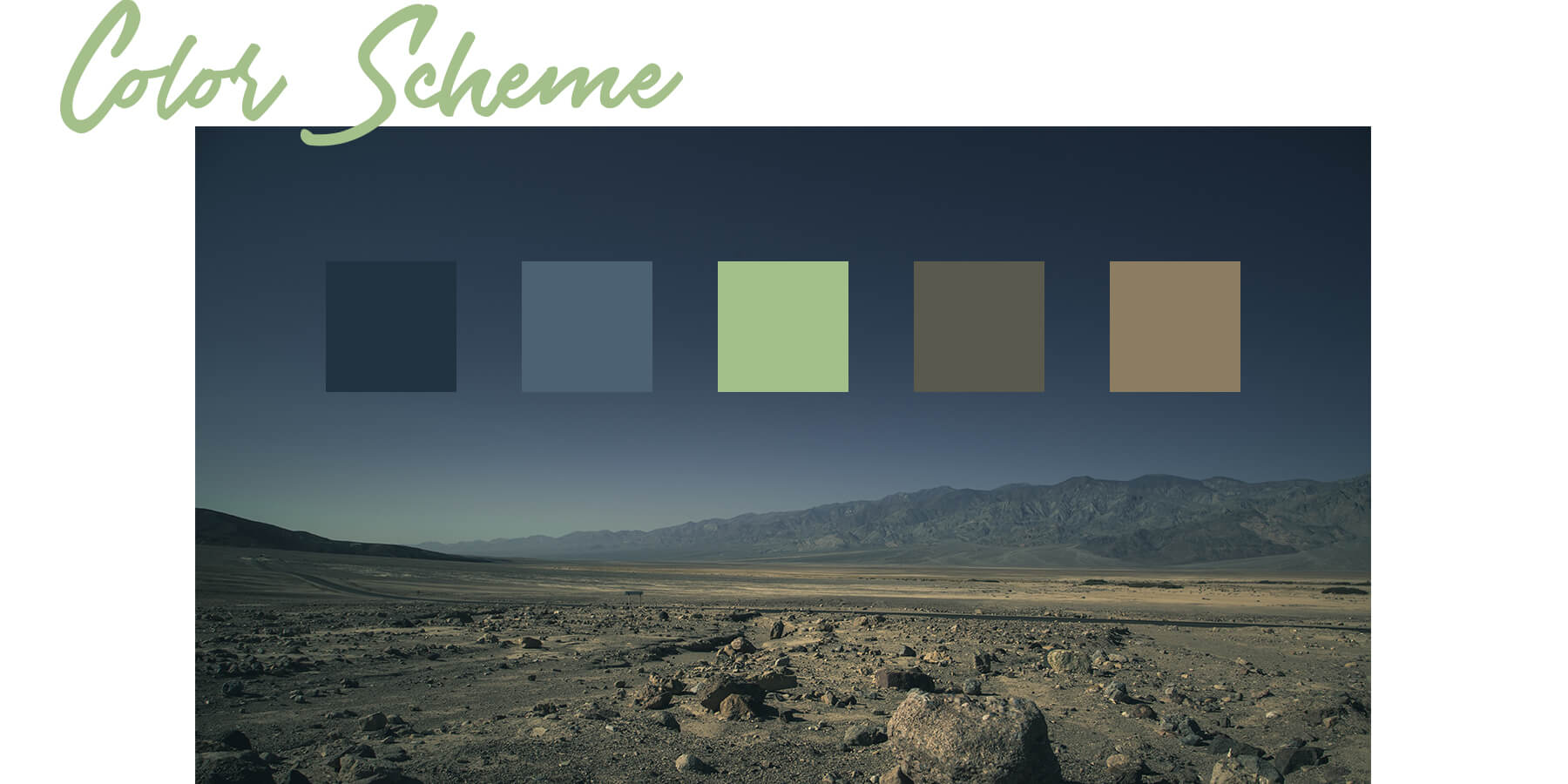 Color Scheme