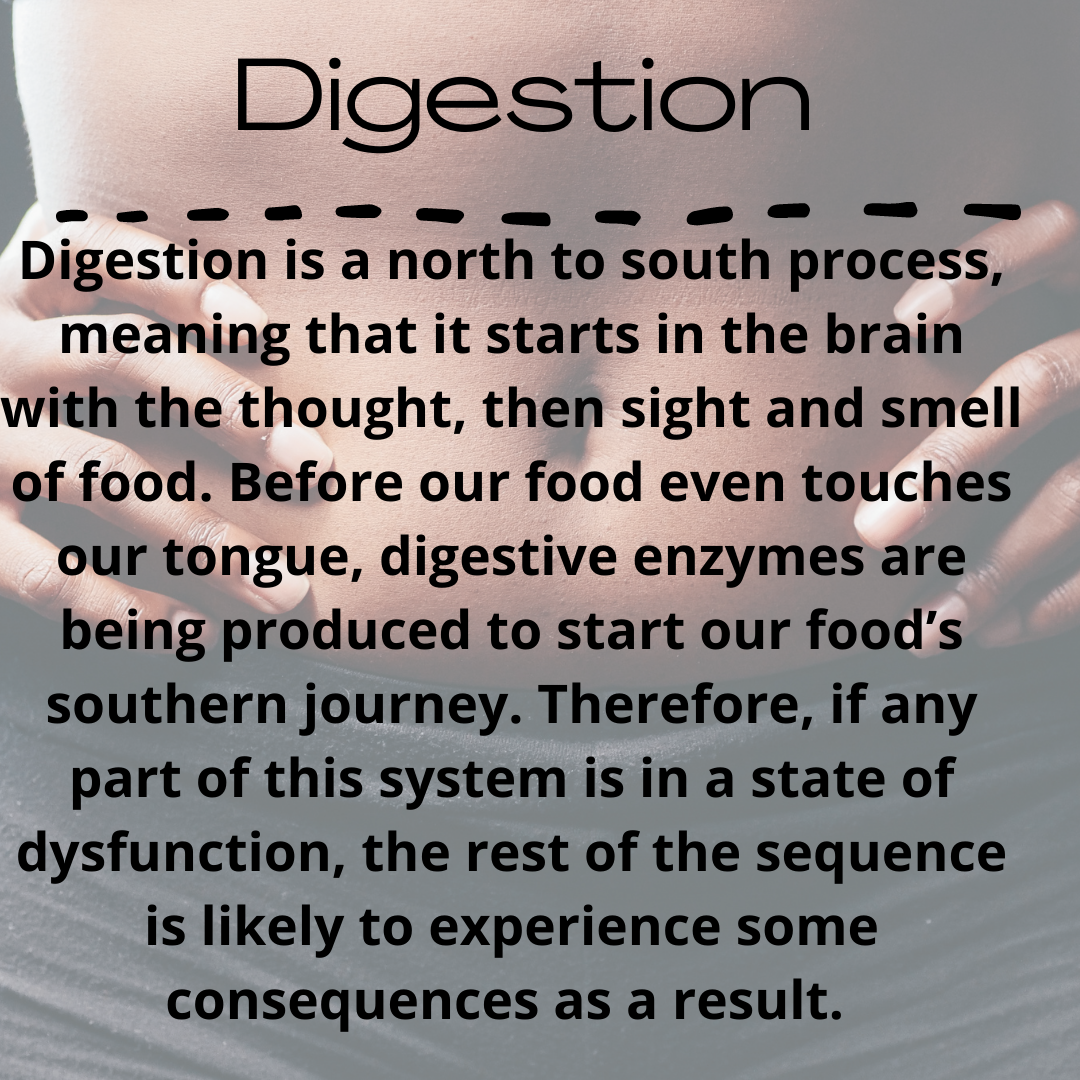 digestion slide.png
