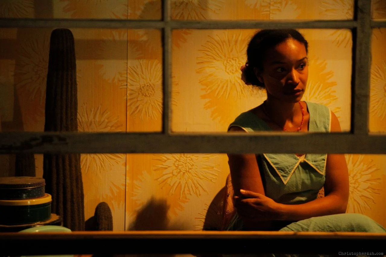 The Shoemaker's Prodigious Wife