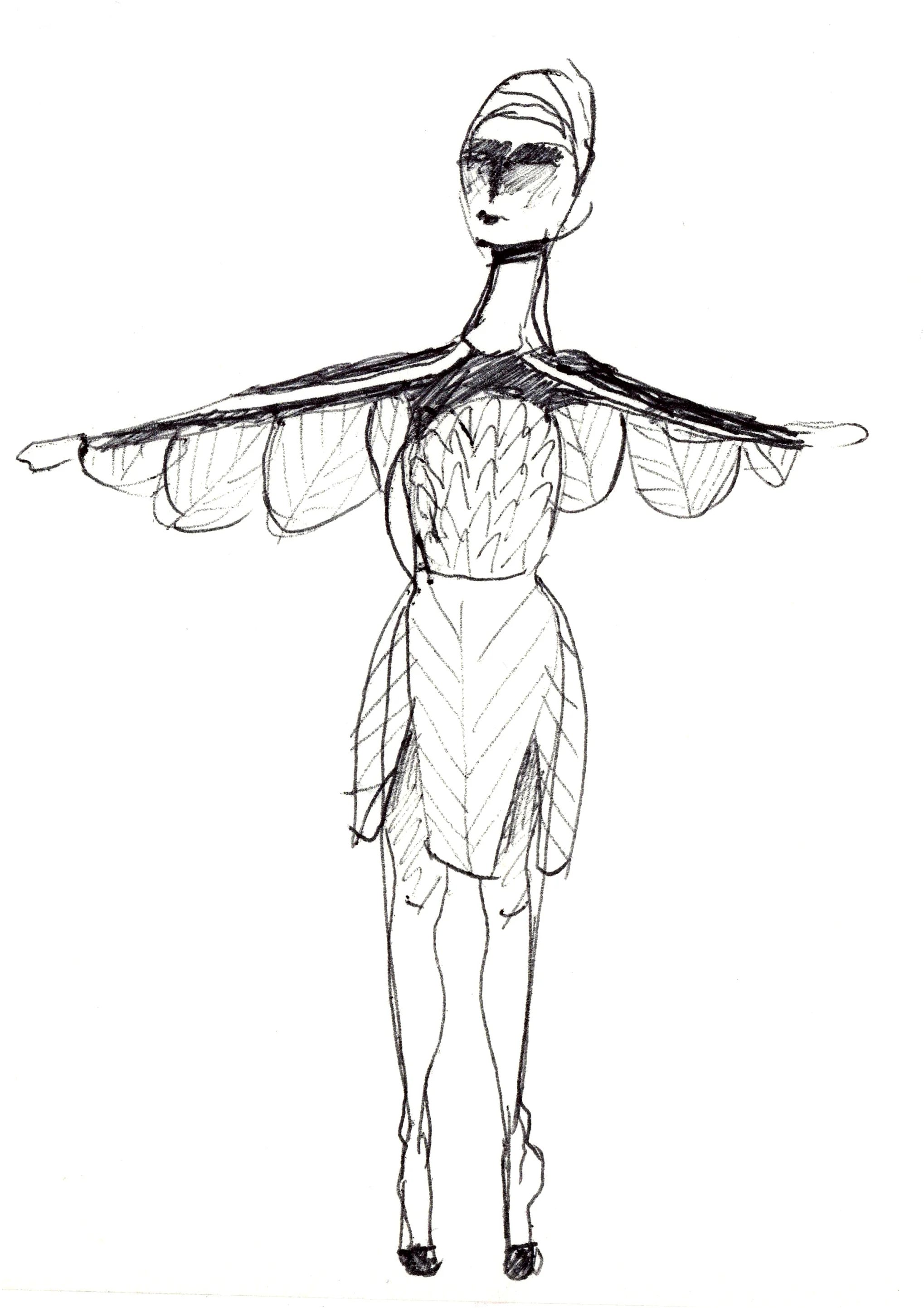 bird.jpg
