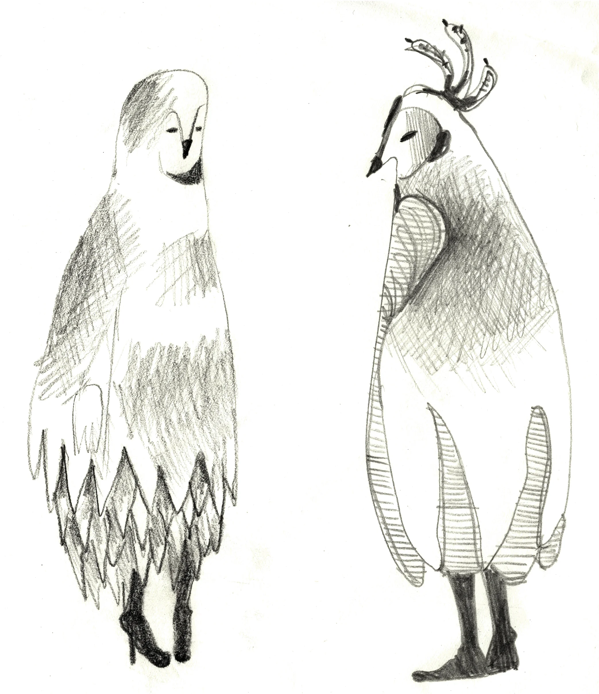 birds.jpg
