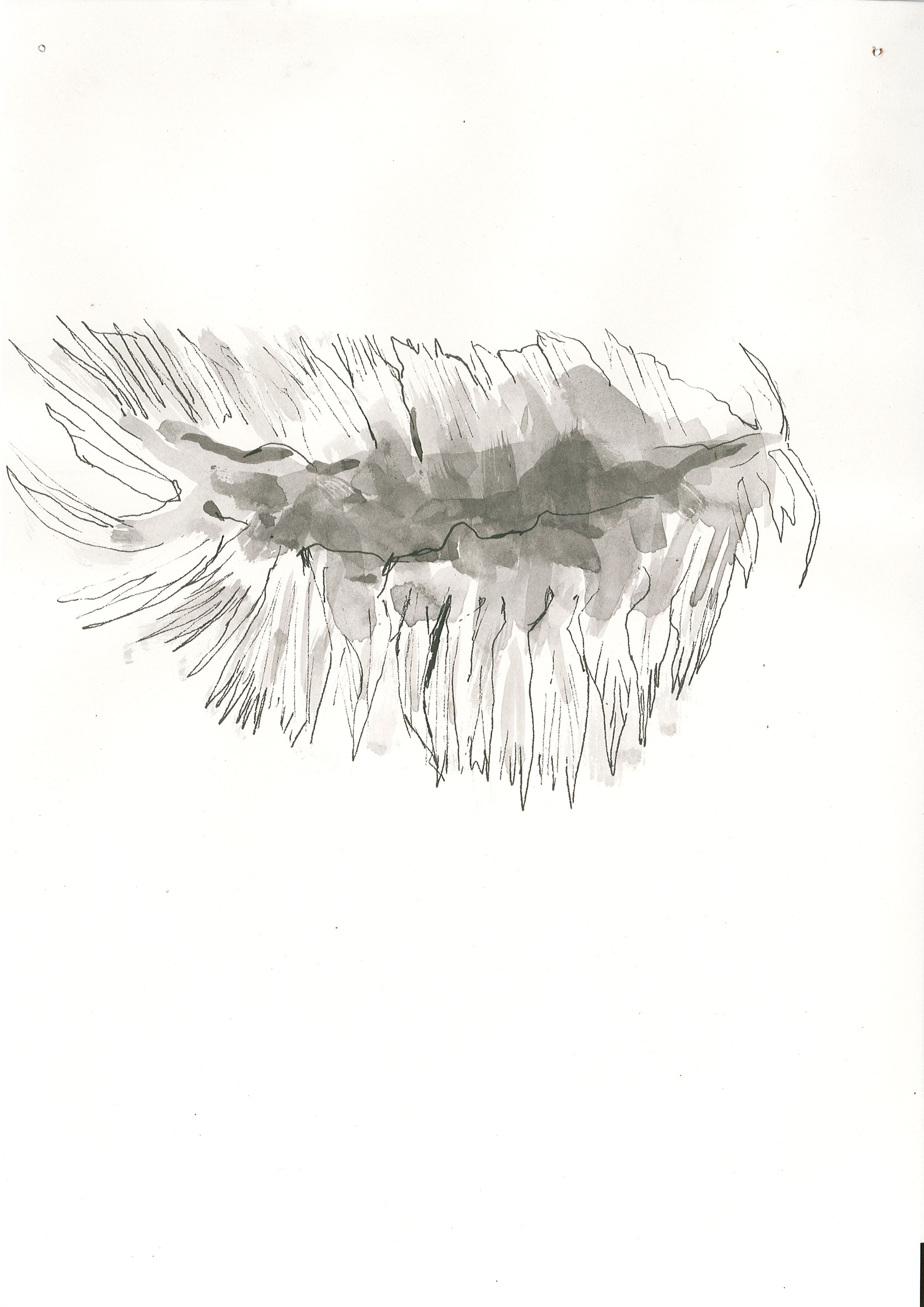 Page0008.jpg