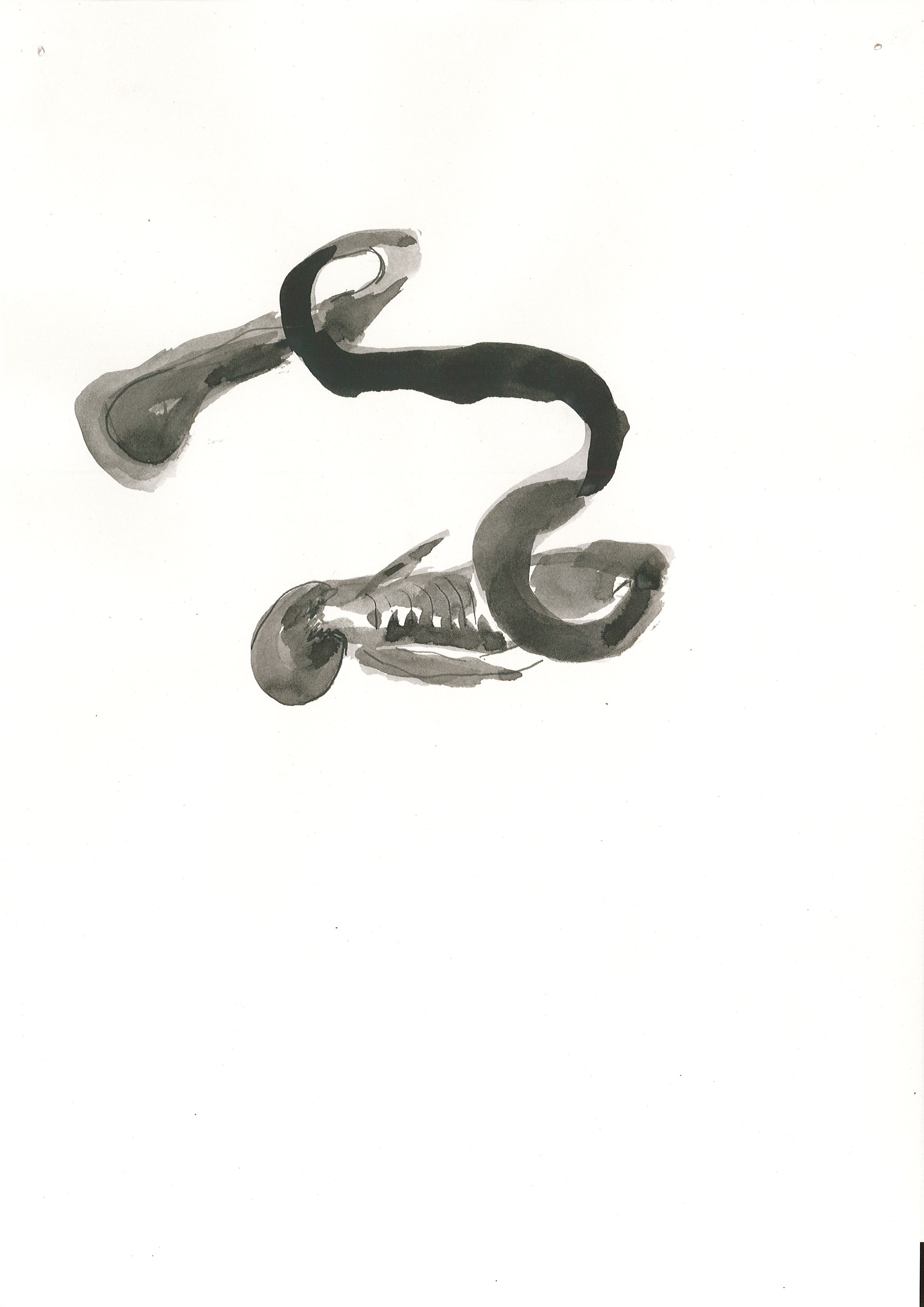 Page0007.jpg