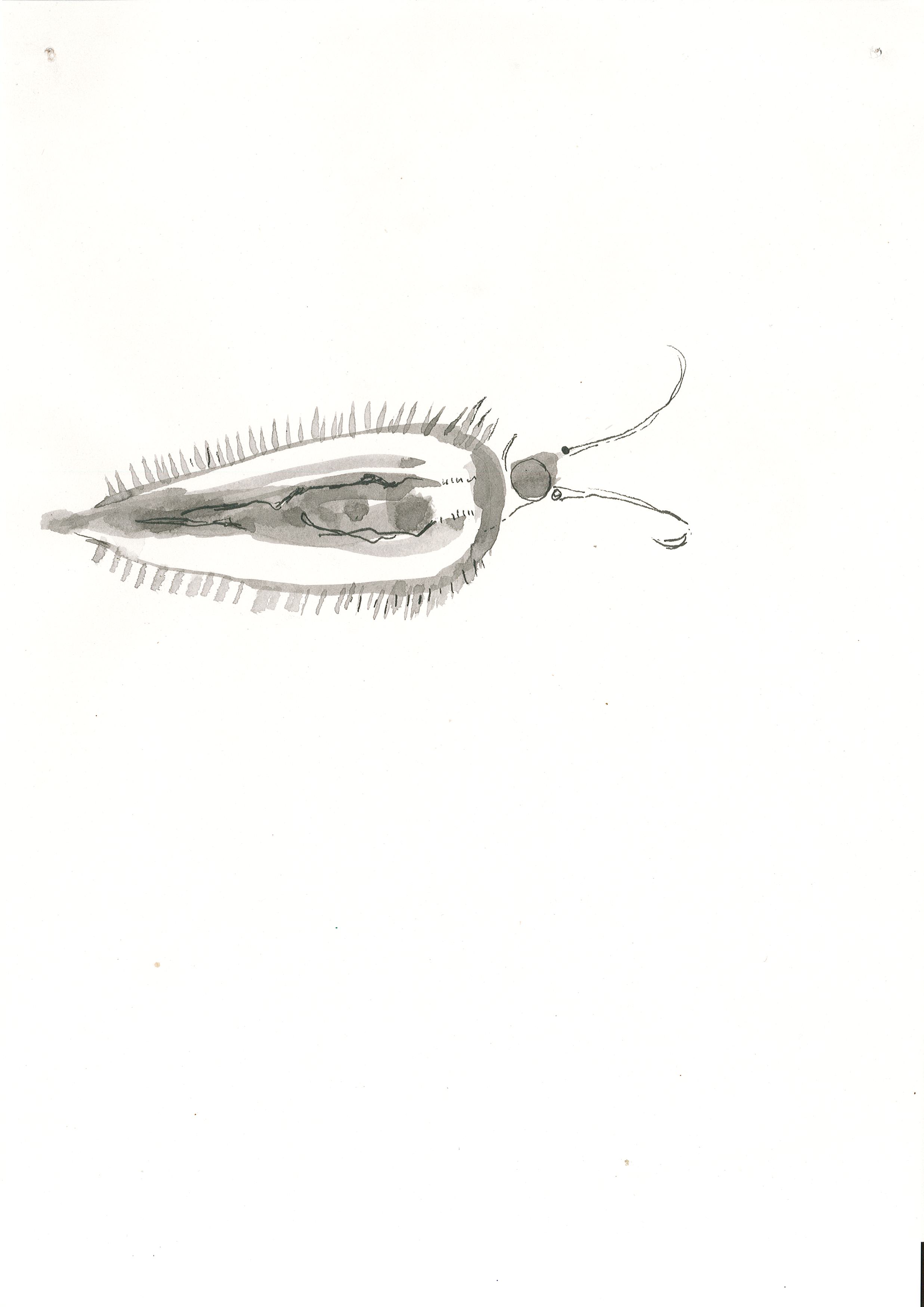 Page0010.jpg