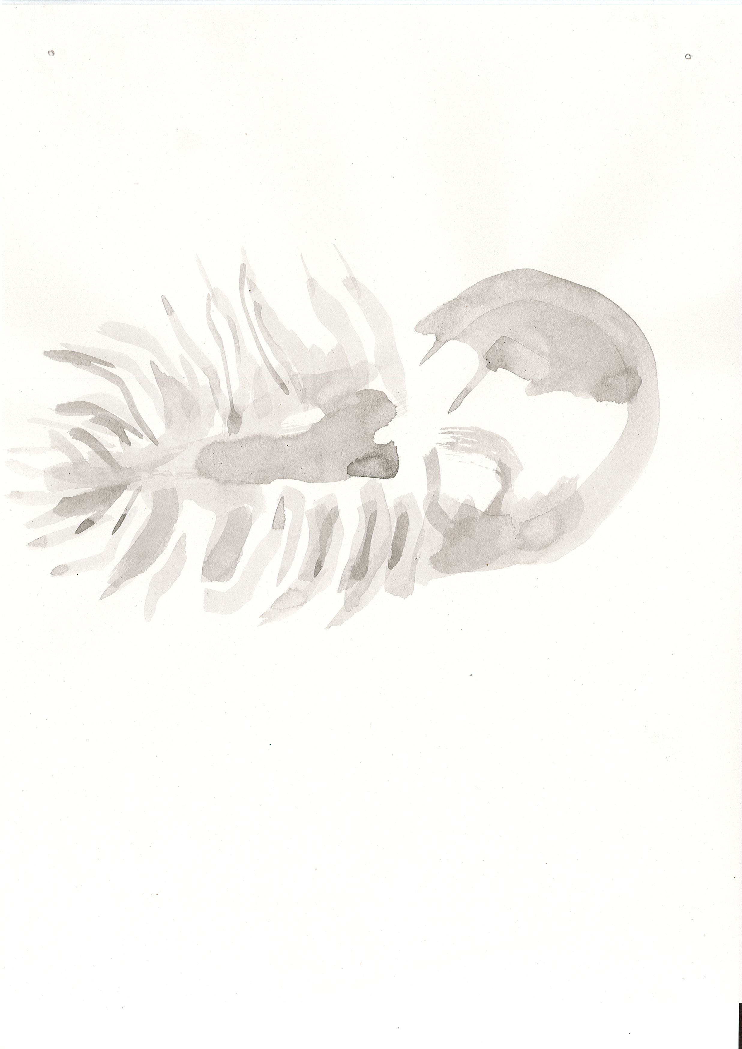 Page0006.jpg