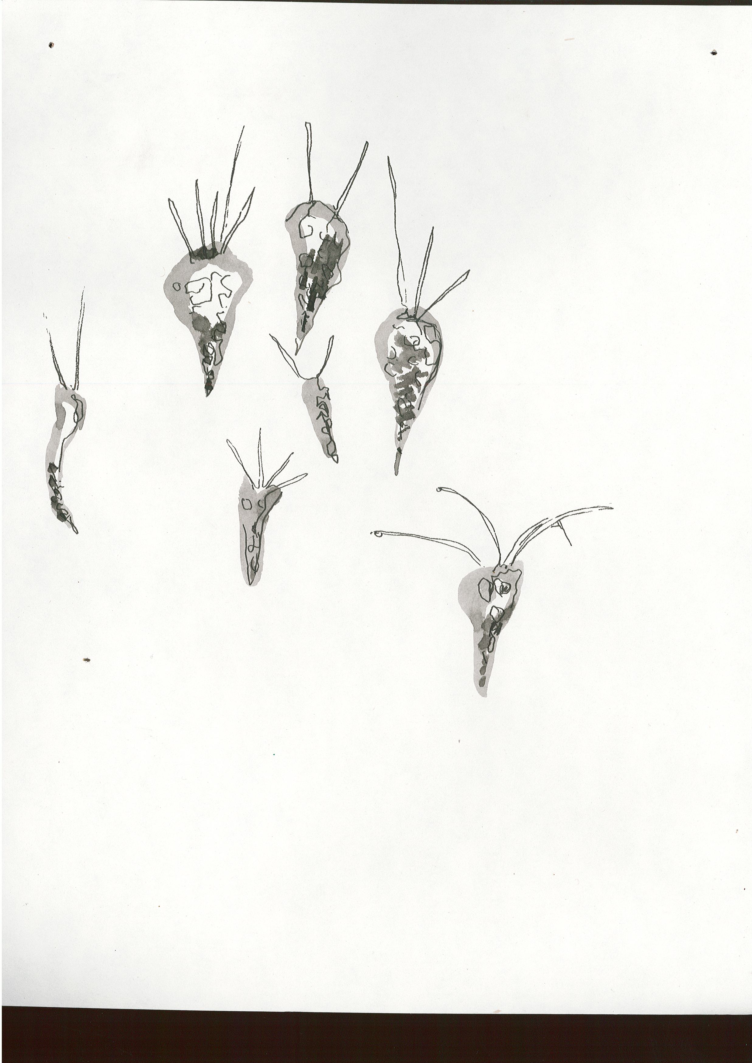 Page0001.jpg