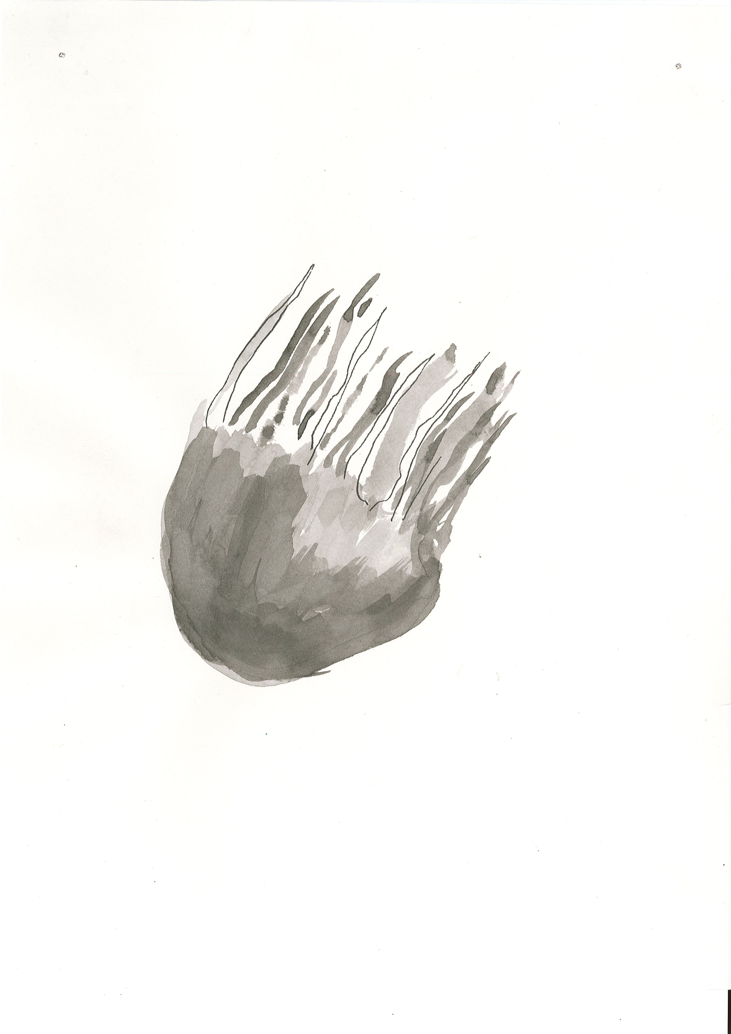 Page0005.jpg