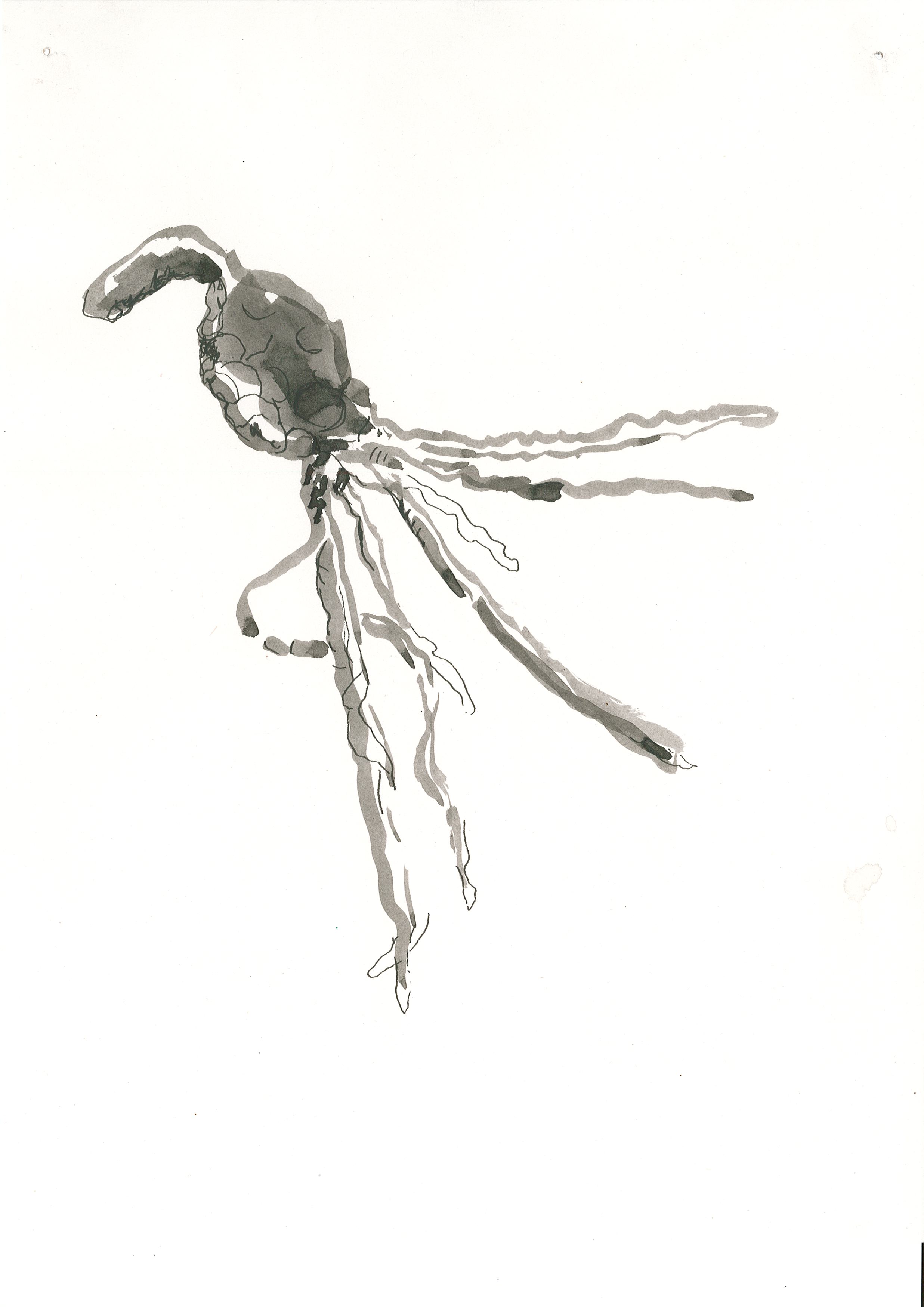 Page0001.jpg