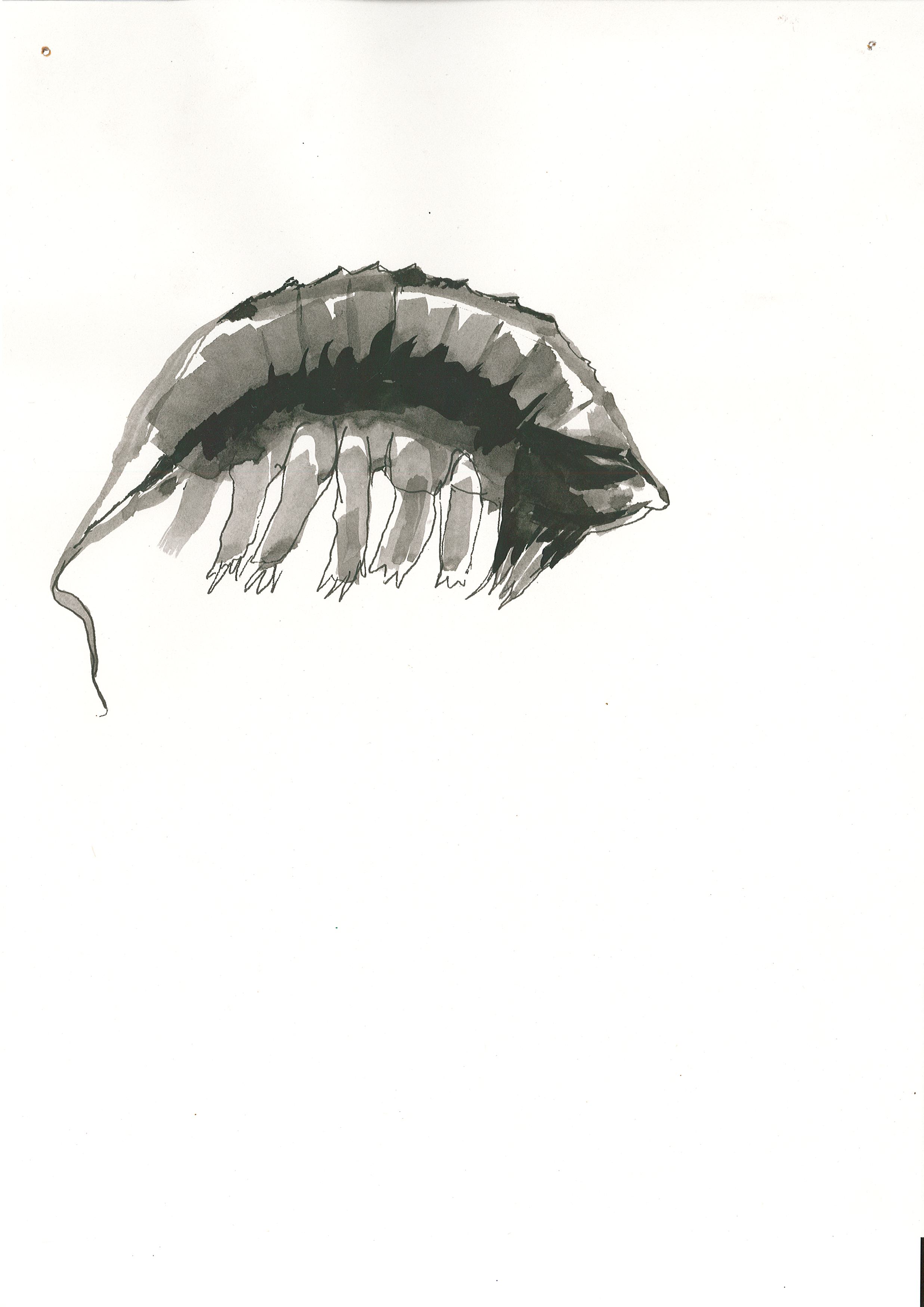 Page0005.jpg