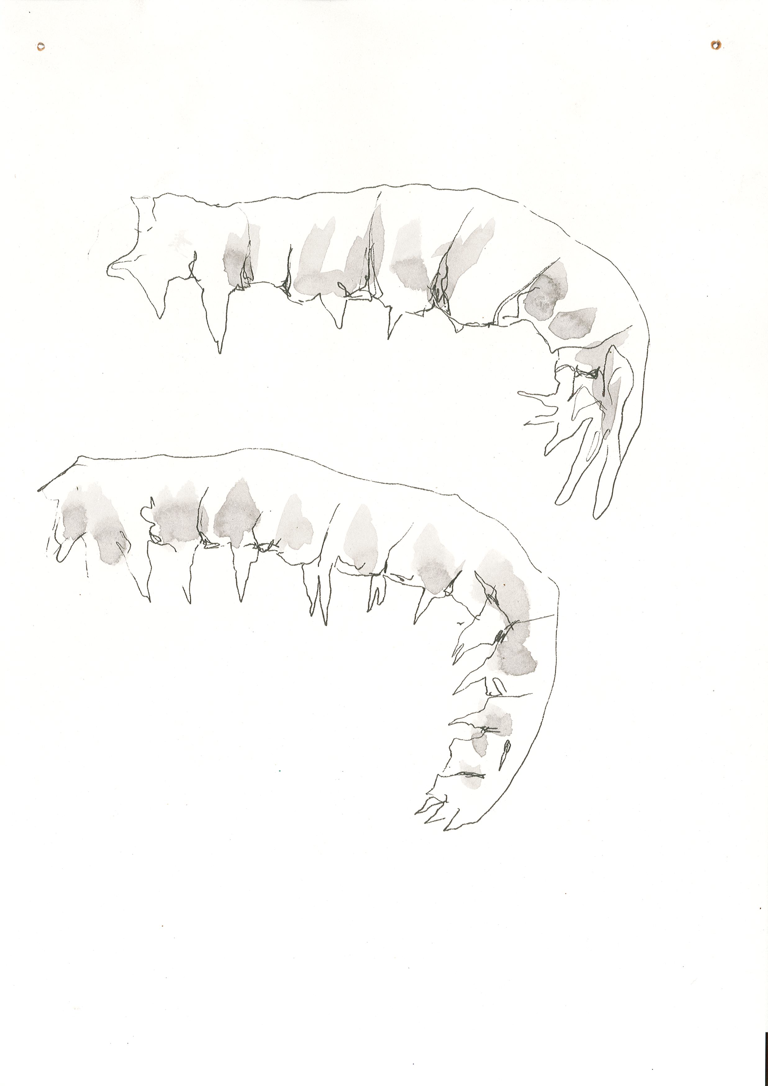 Page0003.jpg