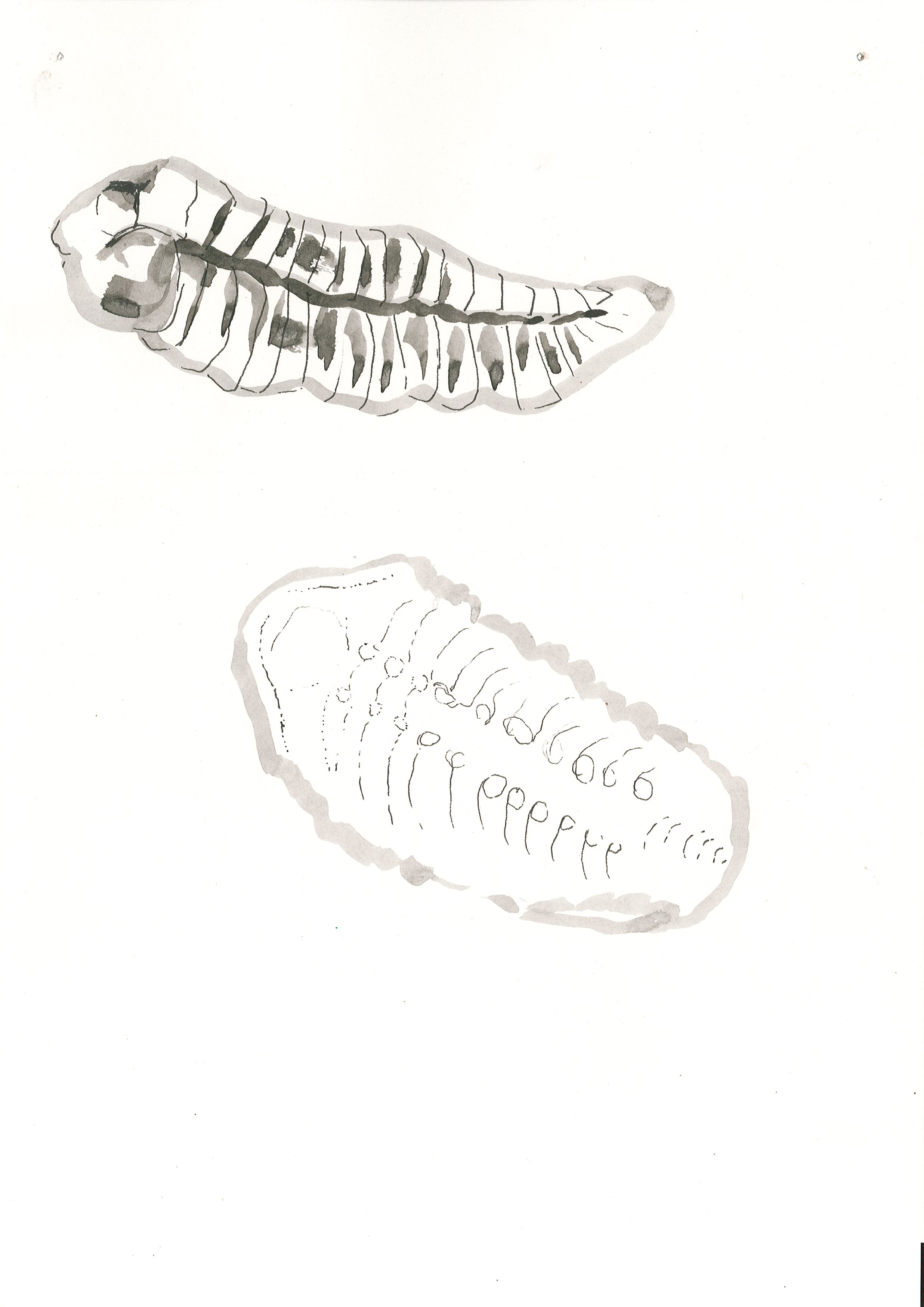Page0004.jpg