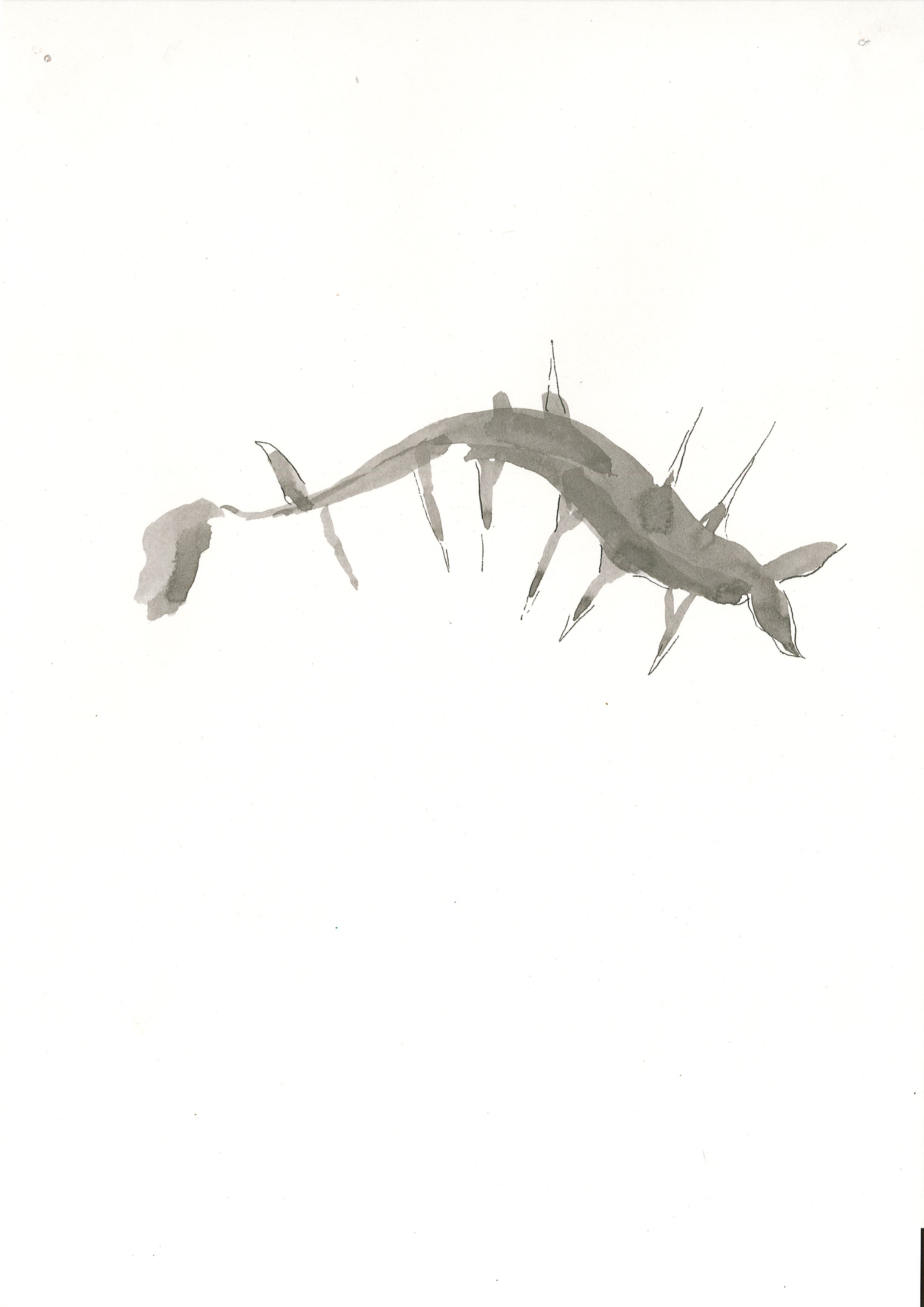 Page0006.jpg