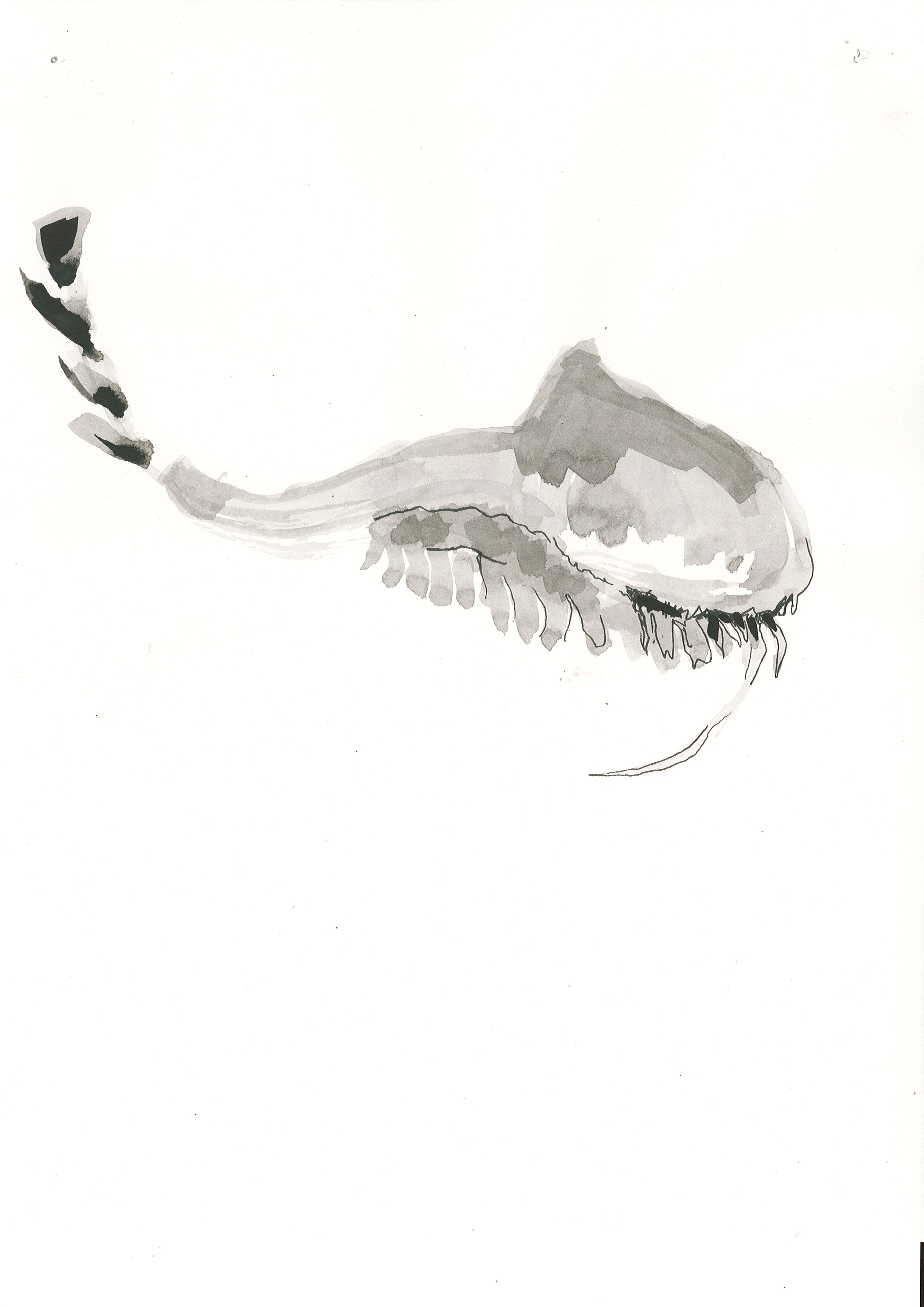 Page0009.jpg
