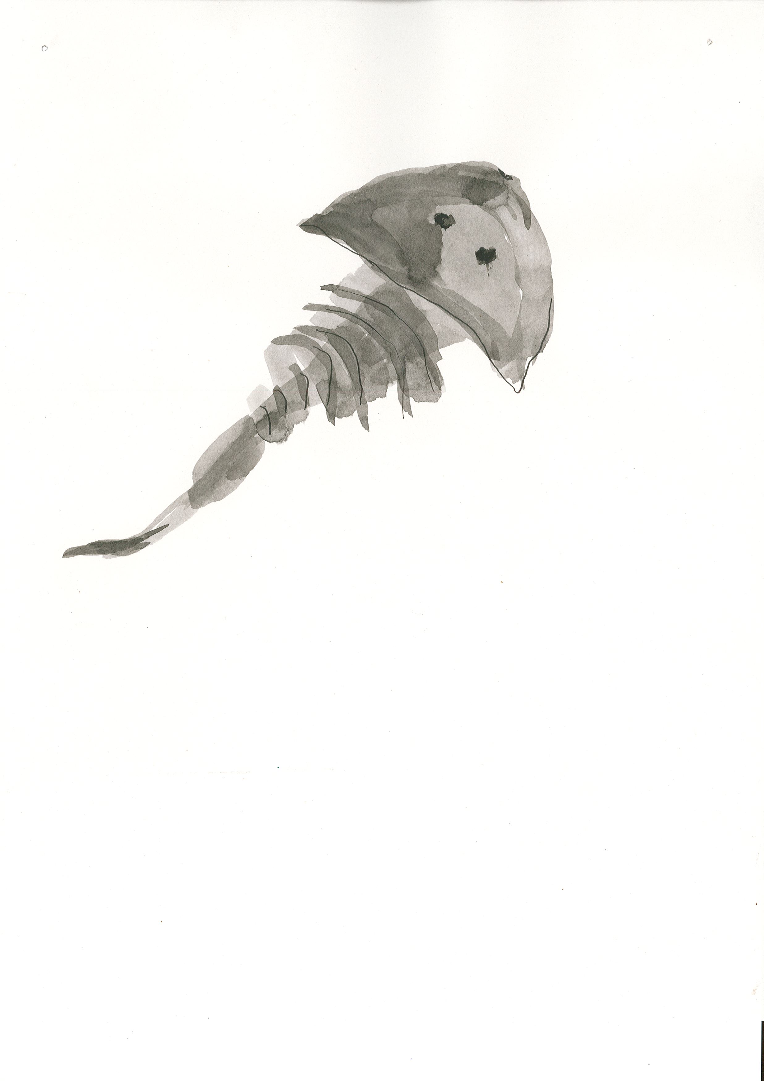 Page0010.jpg