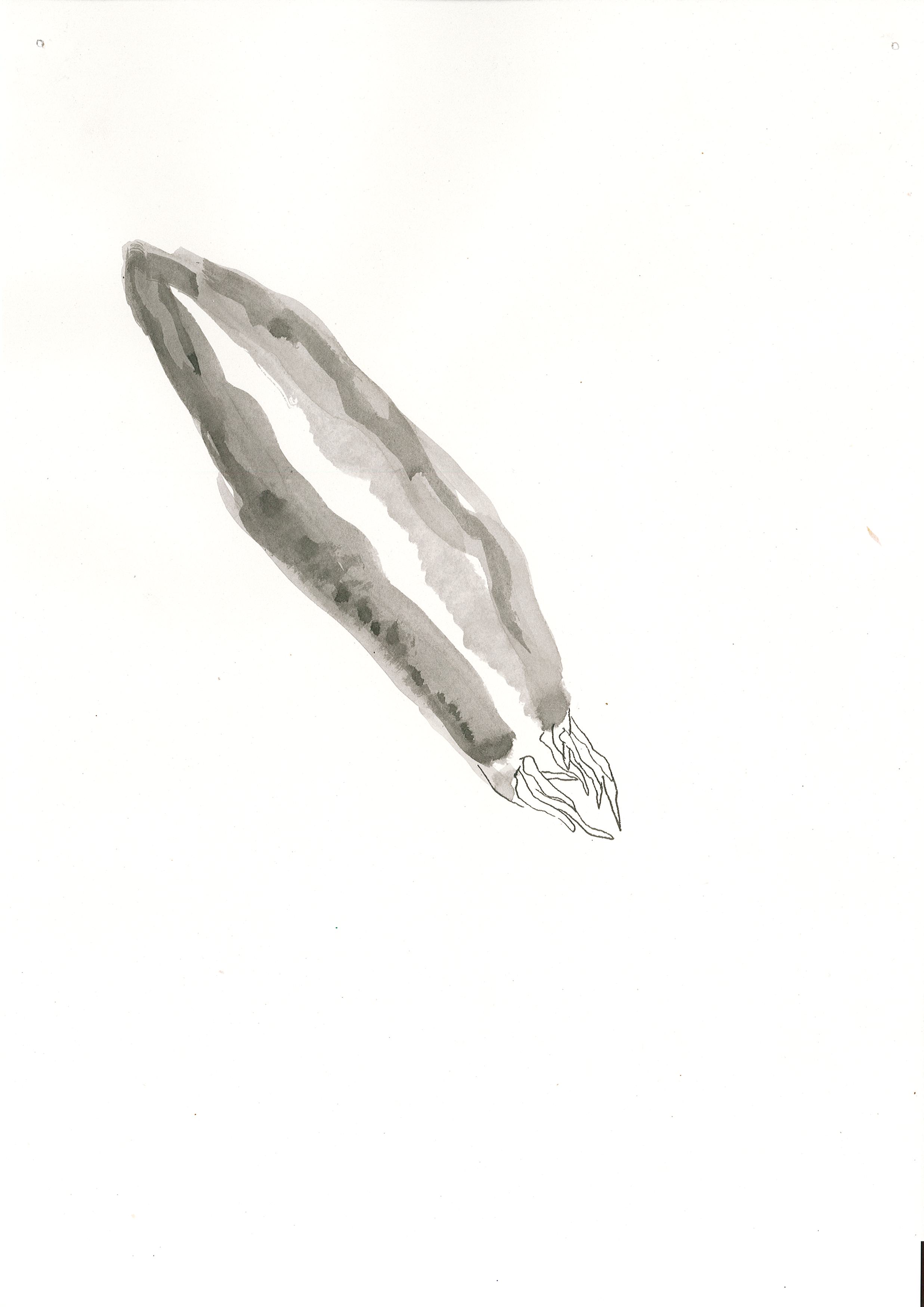 Page0001.jpg