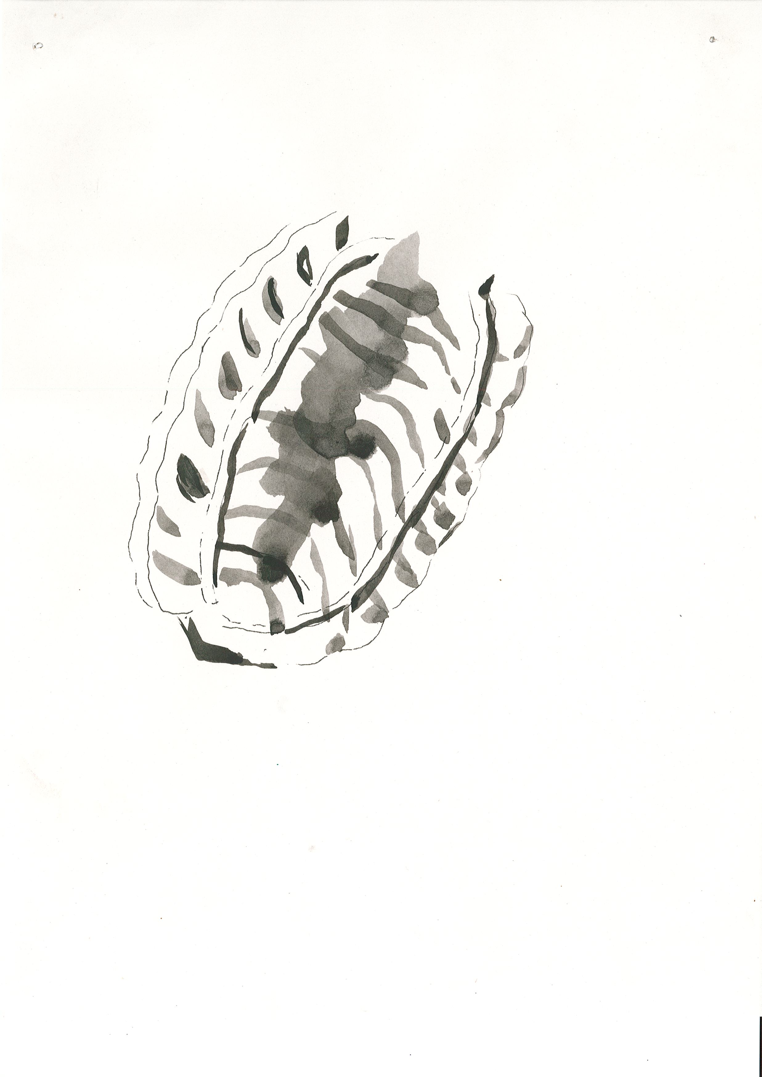 Page0004.jpg