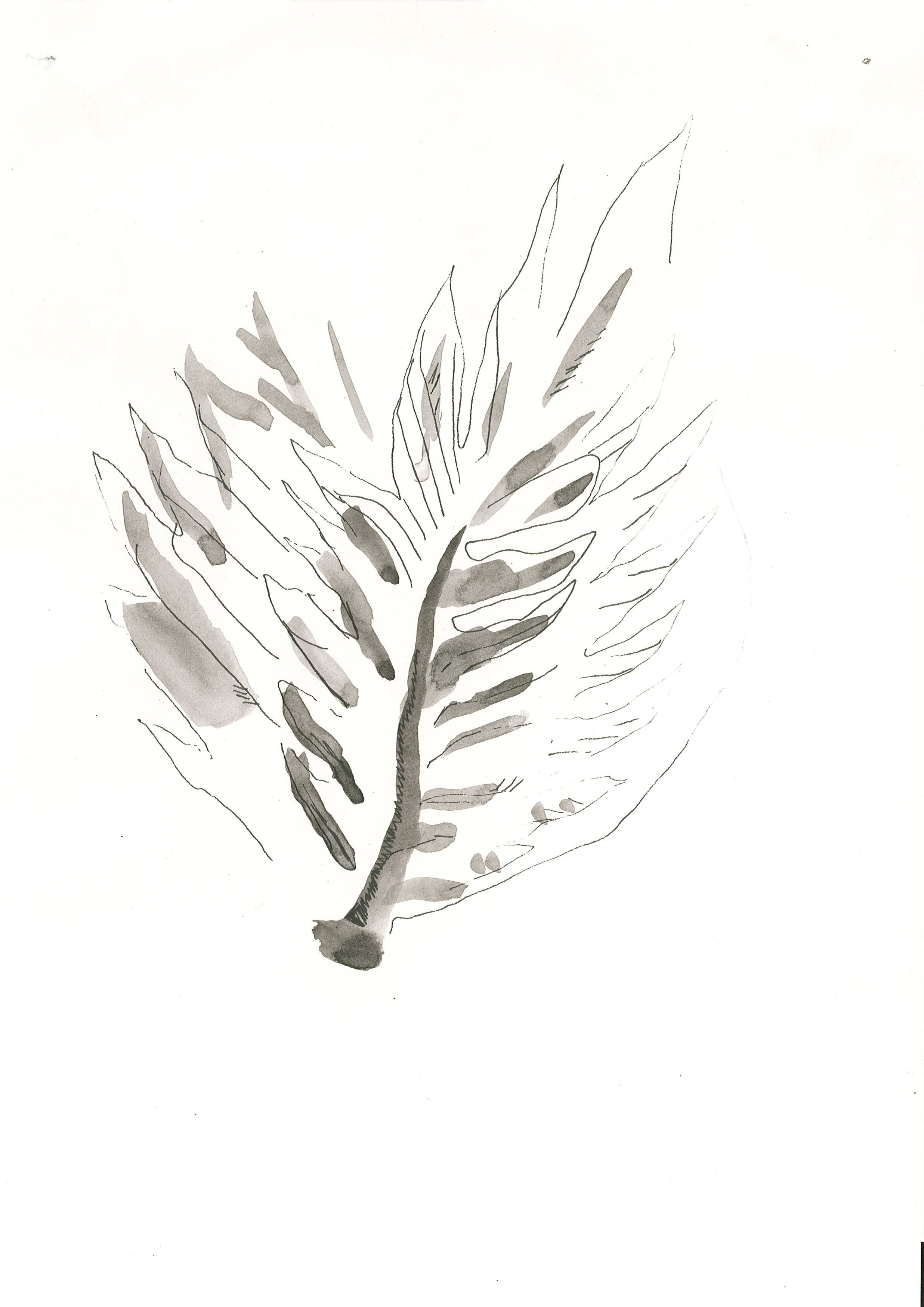 Page0007.jpg