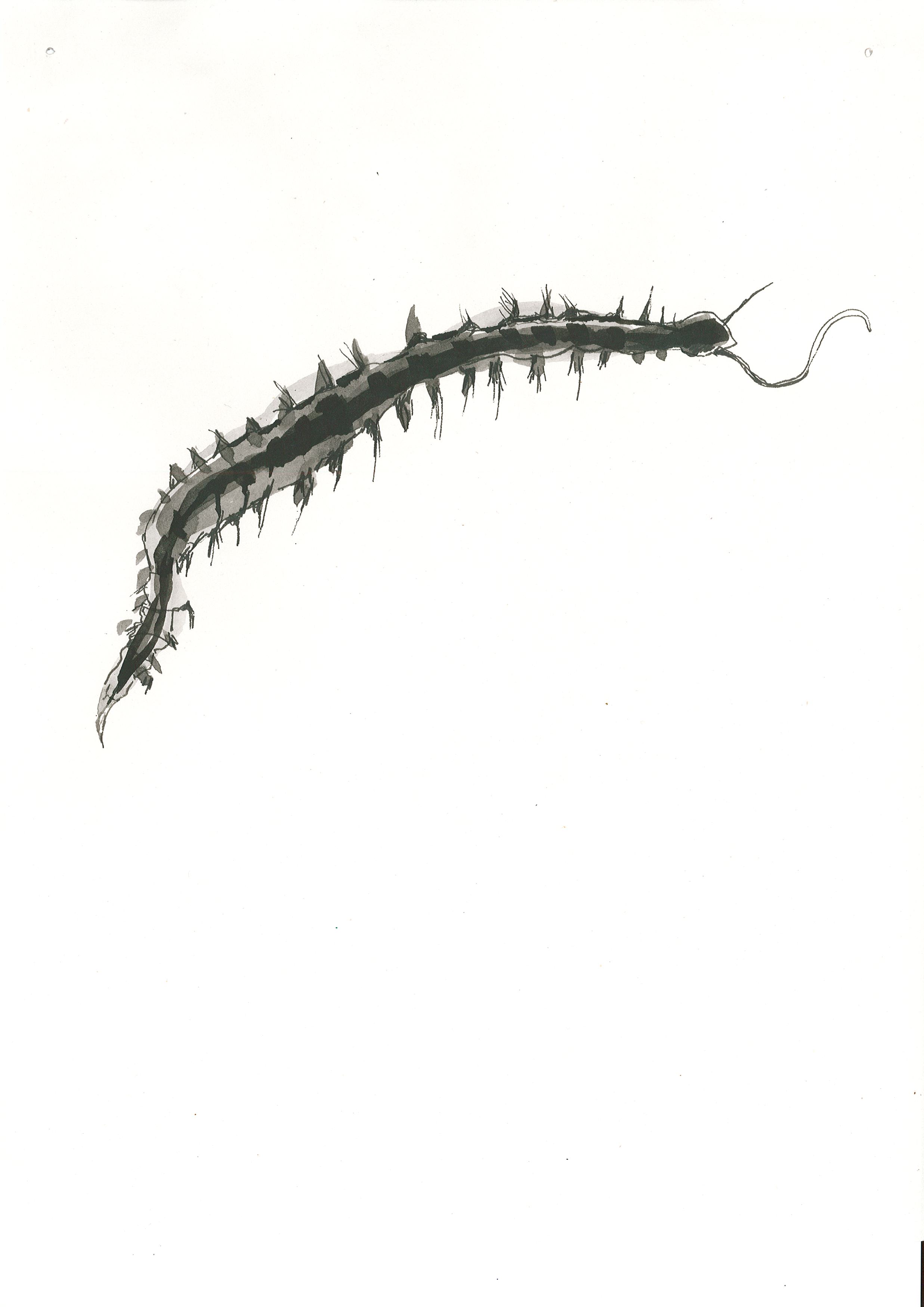 Page0009.jpg