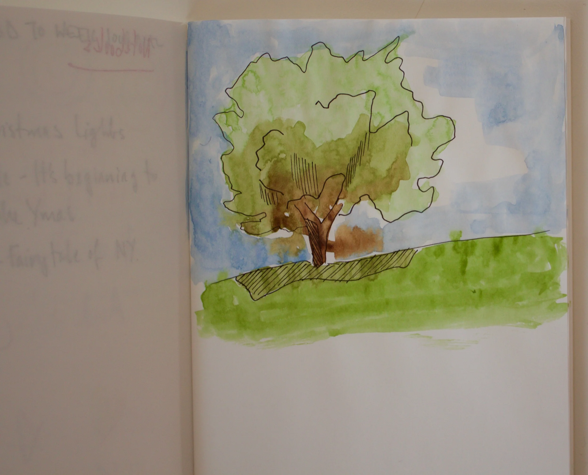 Drawing pens and watercolour paints 