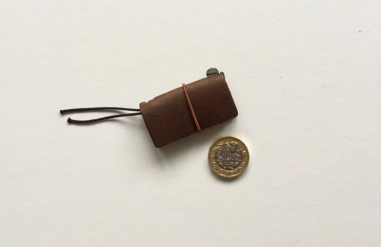 My Mini TN with a new pound coin 