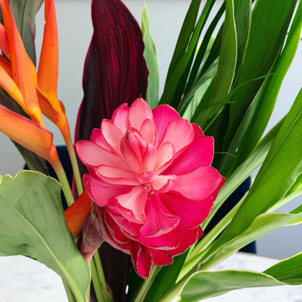 Contributing vs. Accomplishing