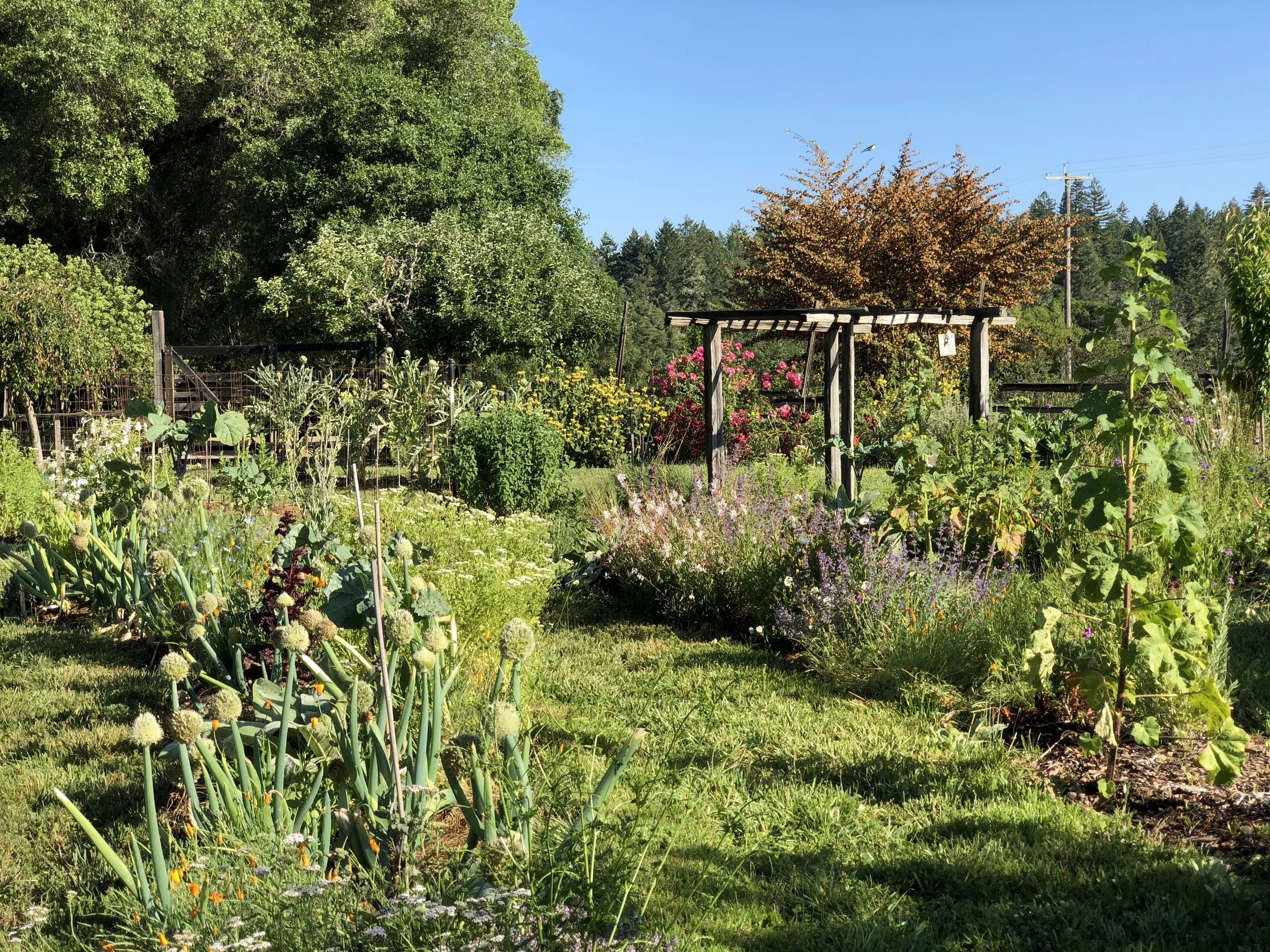 Women, Water, Leadership, and Land