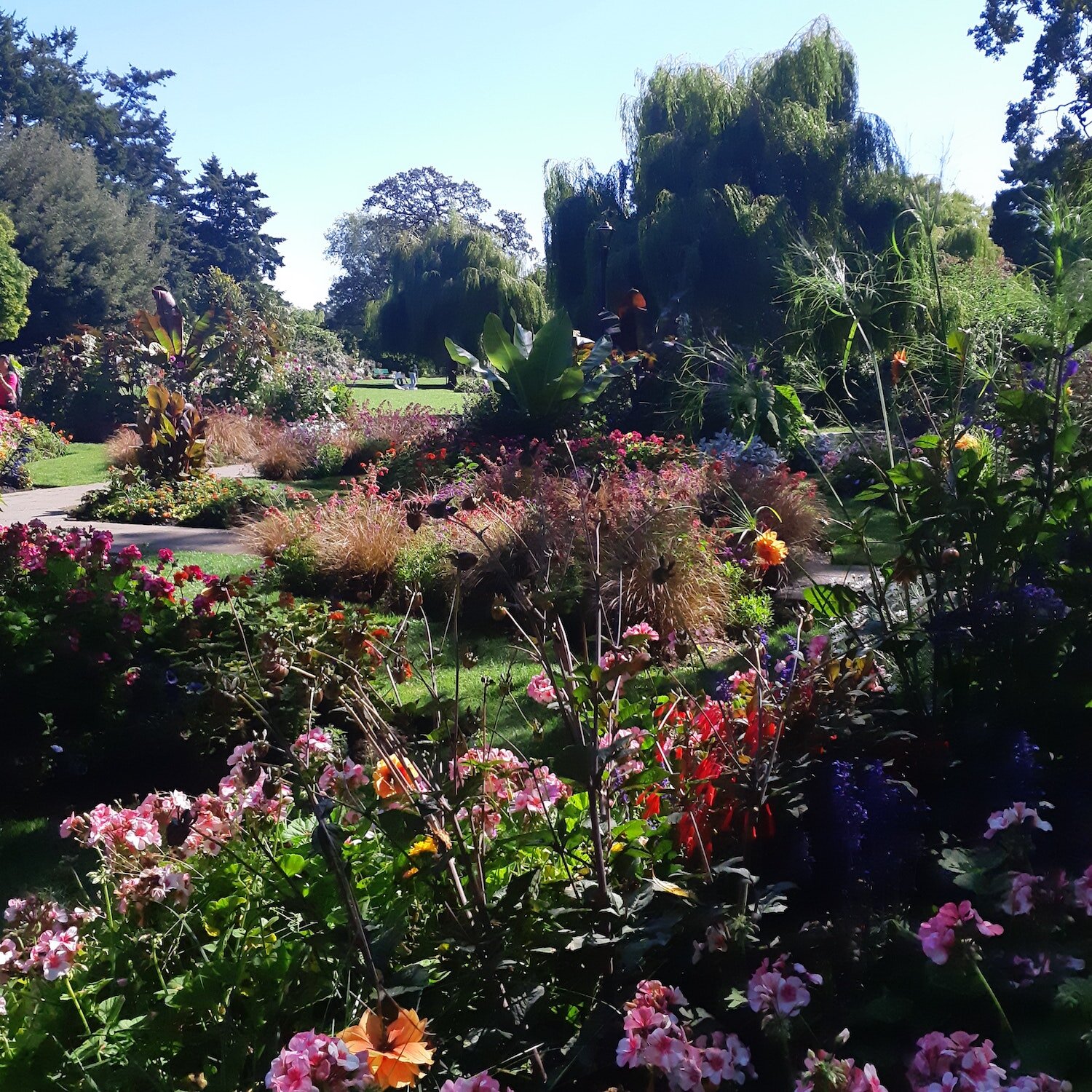 Zing Collaborative, Membership, The Garden