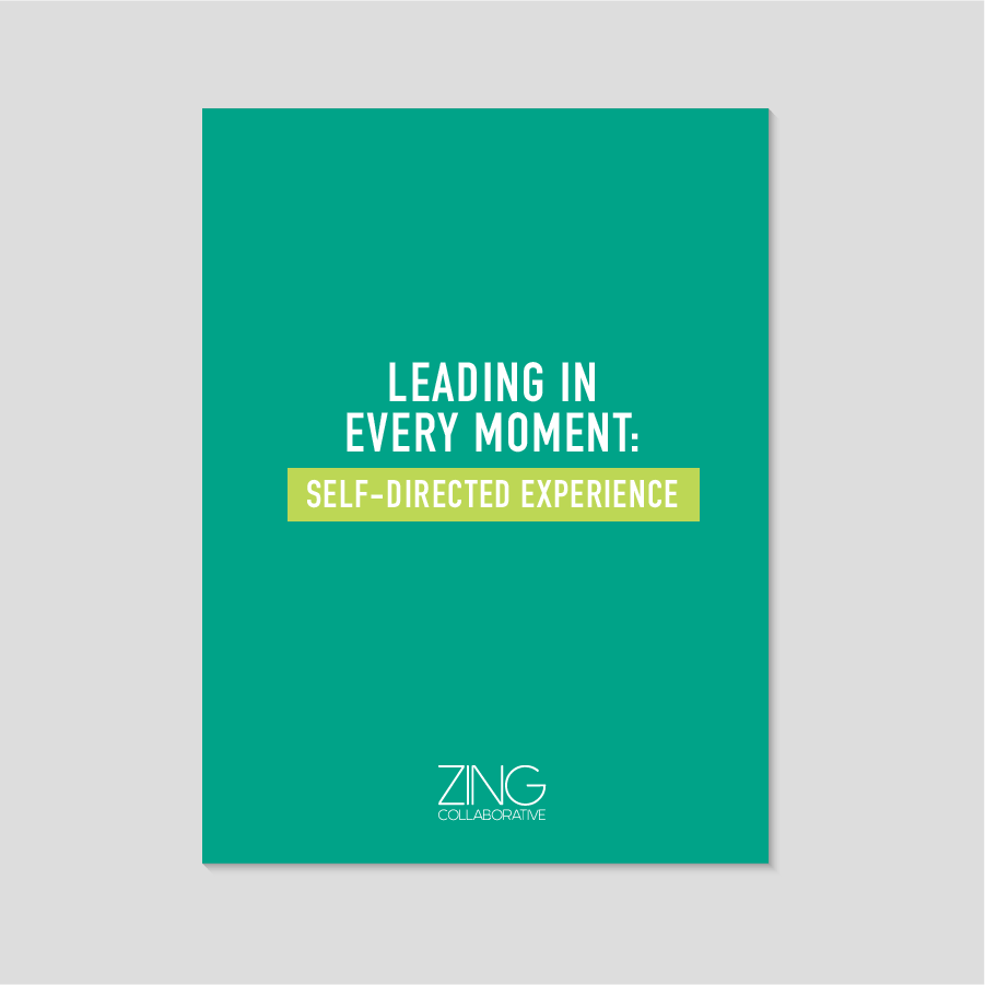 Leading in Every Moment: Self-Directed Experience