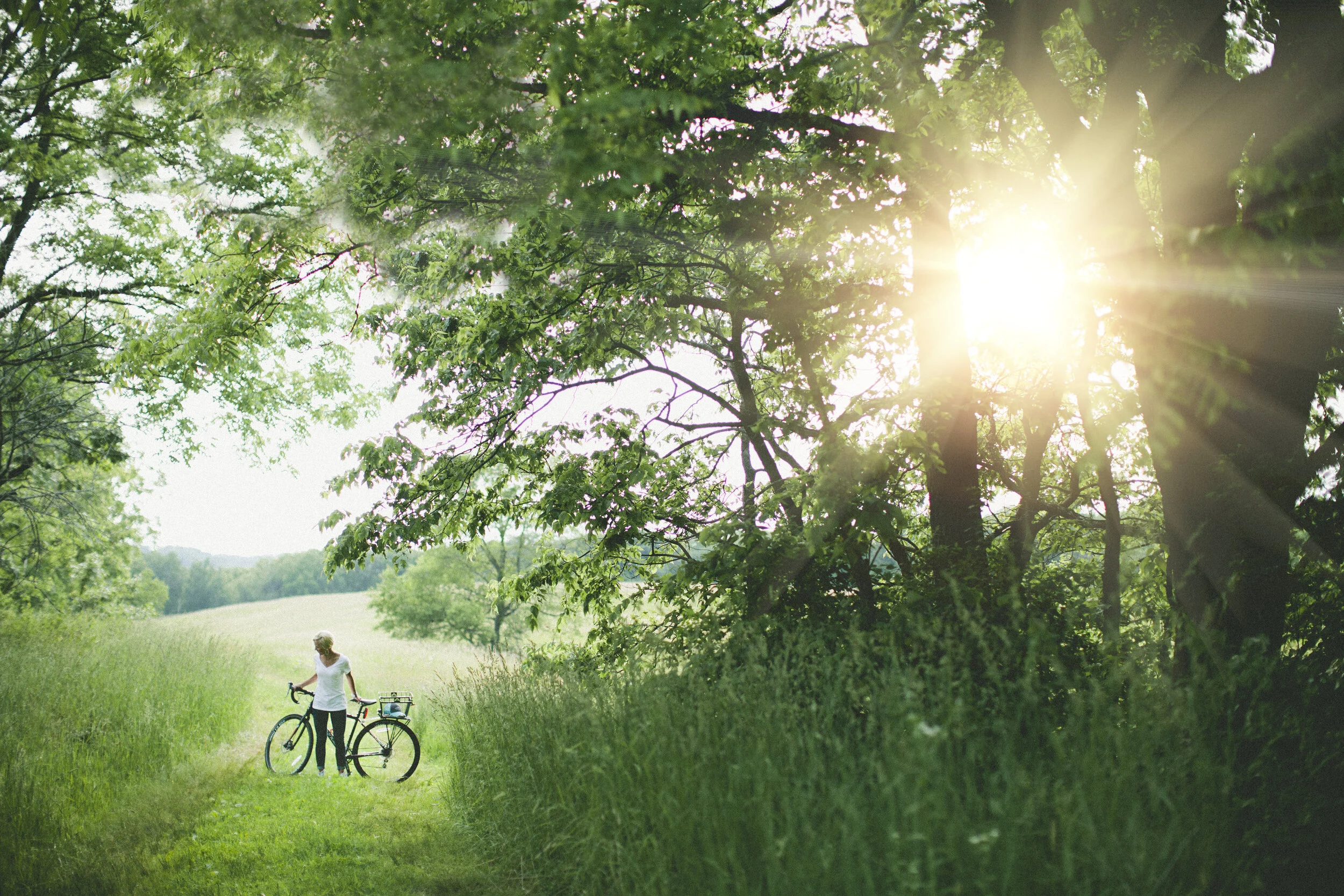 Zing Collaborative, Blog, The Third Path