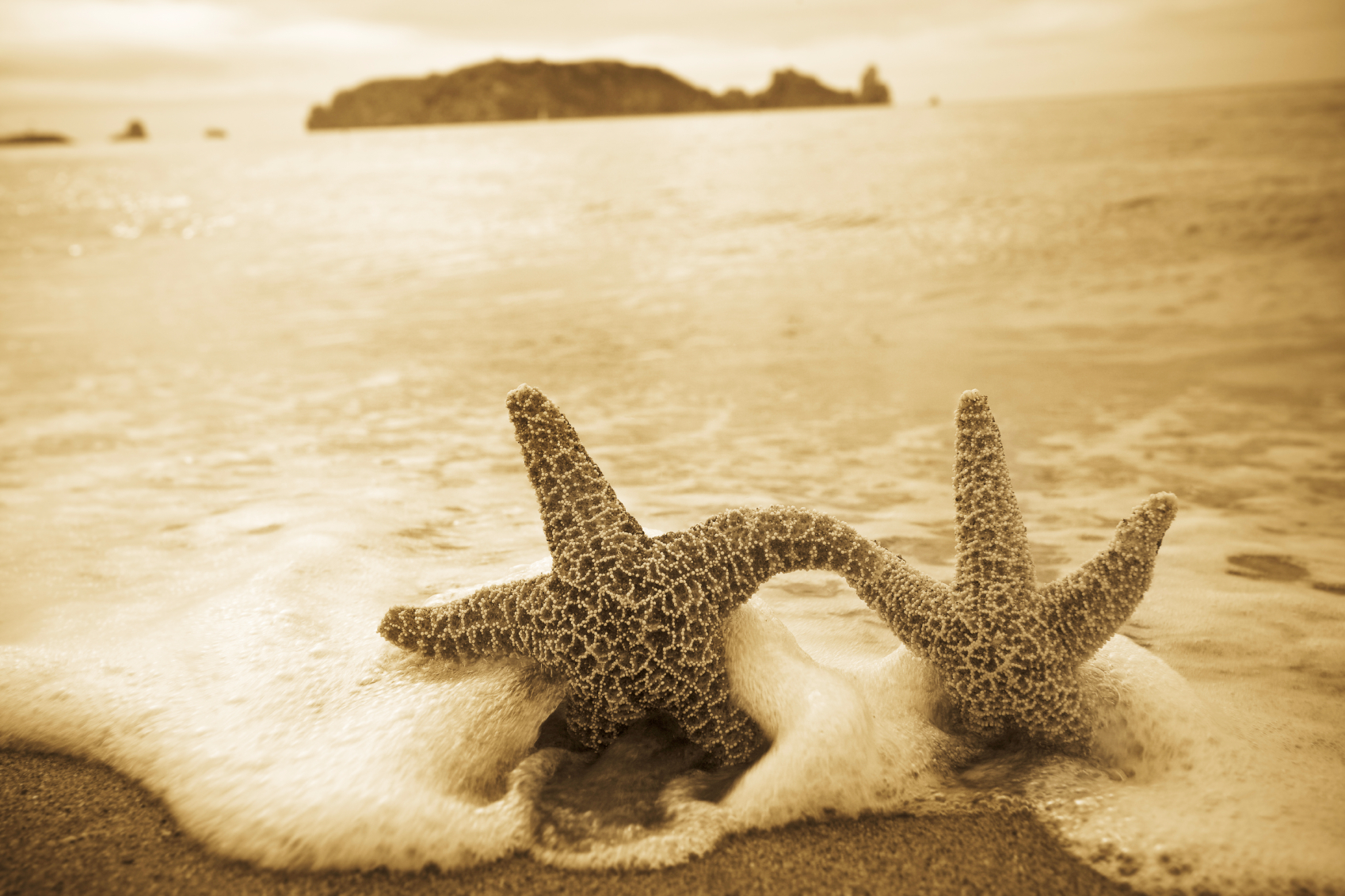 iStock_000006402005Medium.jpg