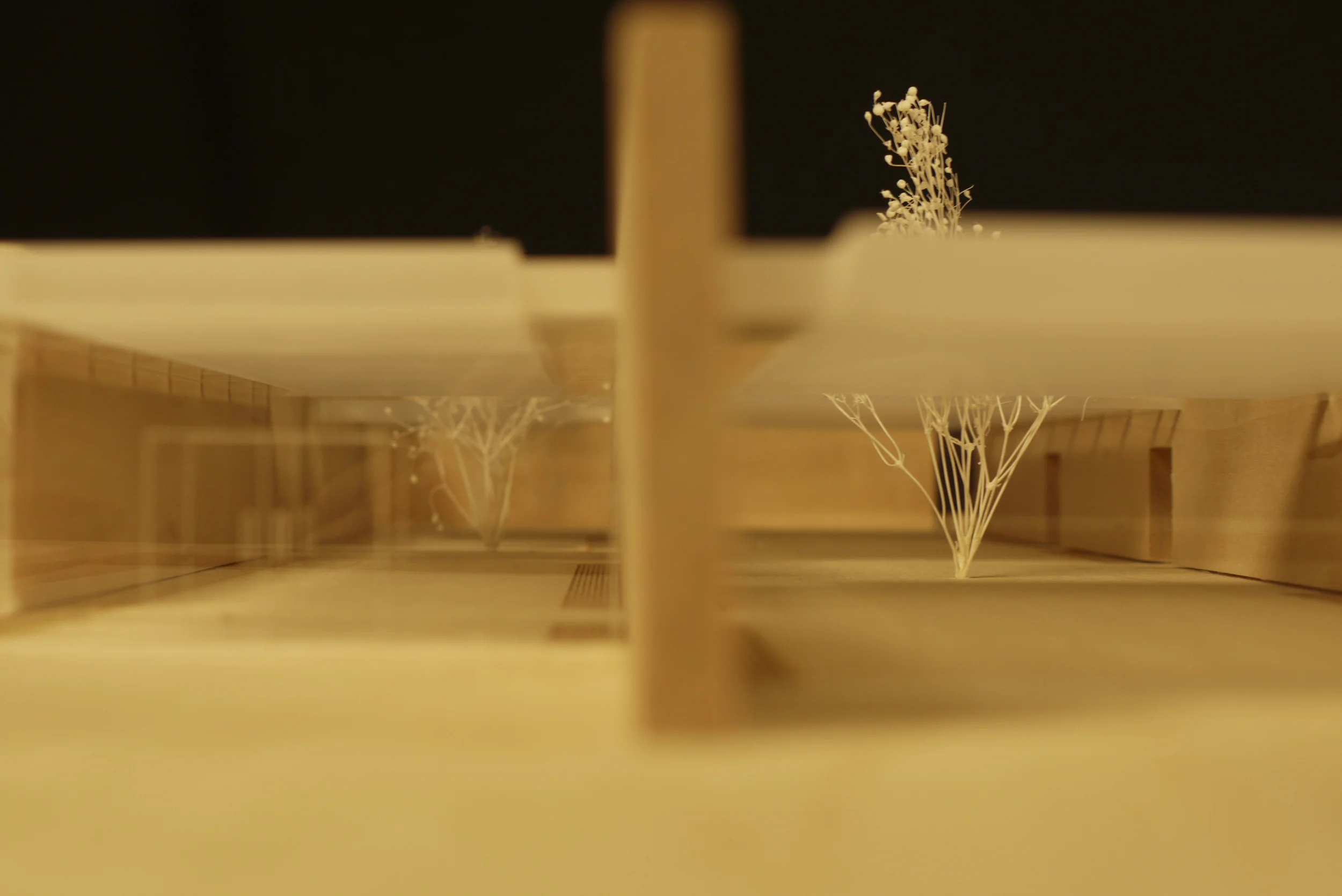 Miller Art Center