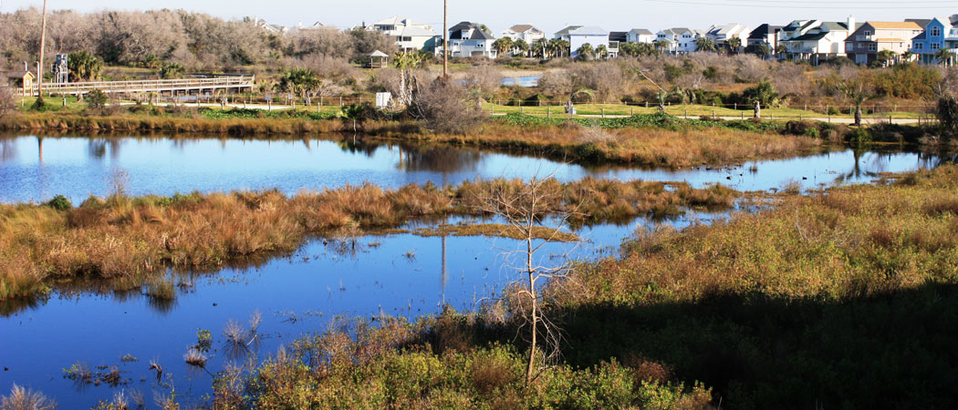 Lafitte's Cove Nature Preserve in Galveston, Texas. Image via drive-discover.com