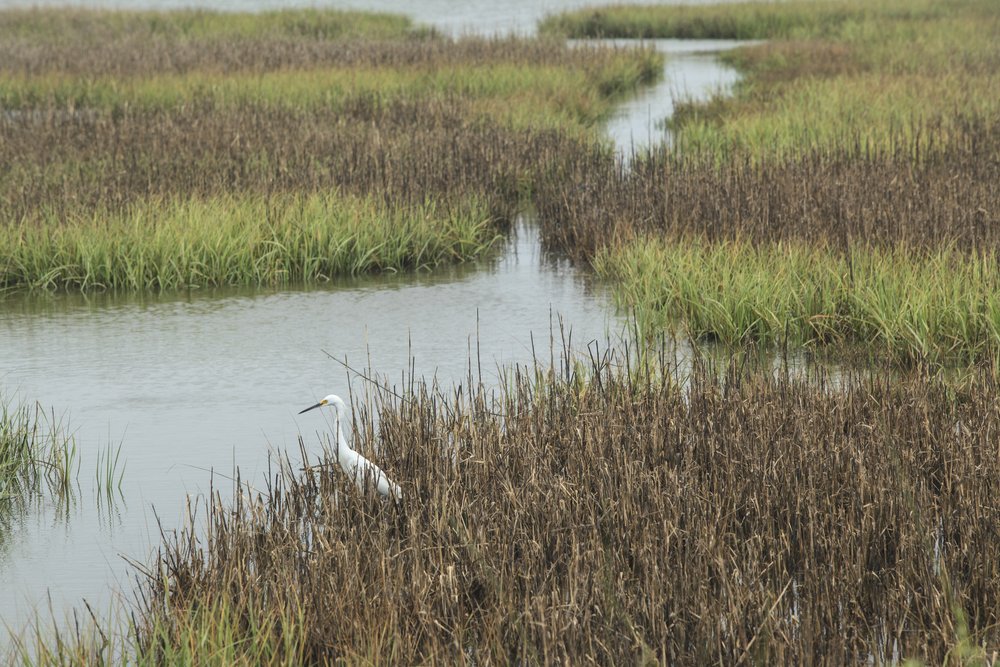 Galveston_Kennedy_20130521_0100.jpg