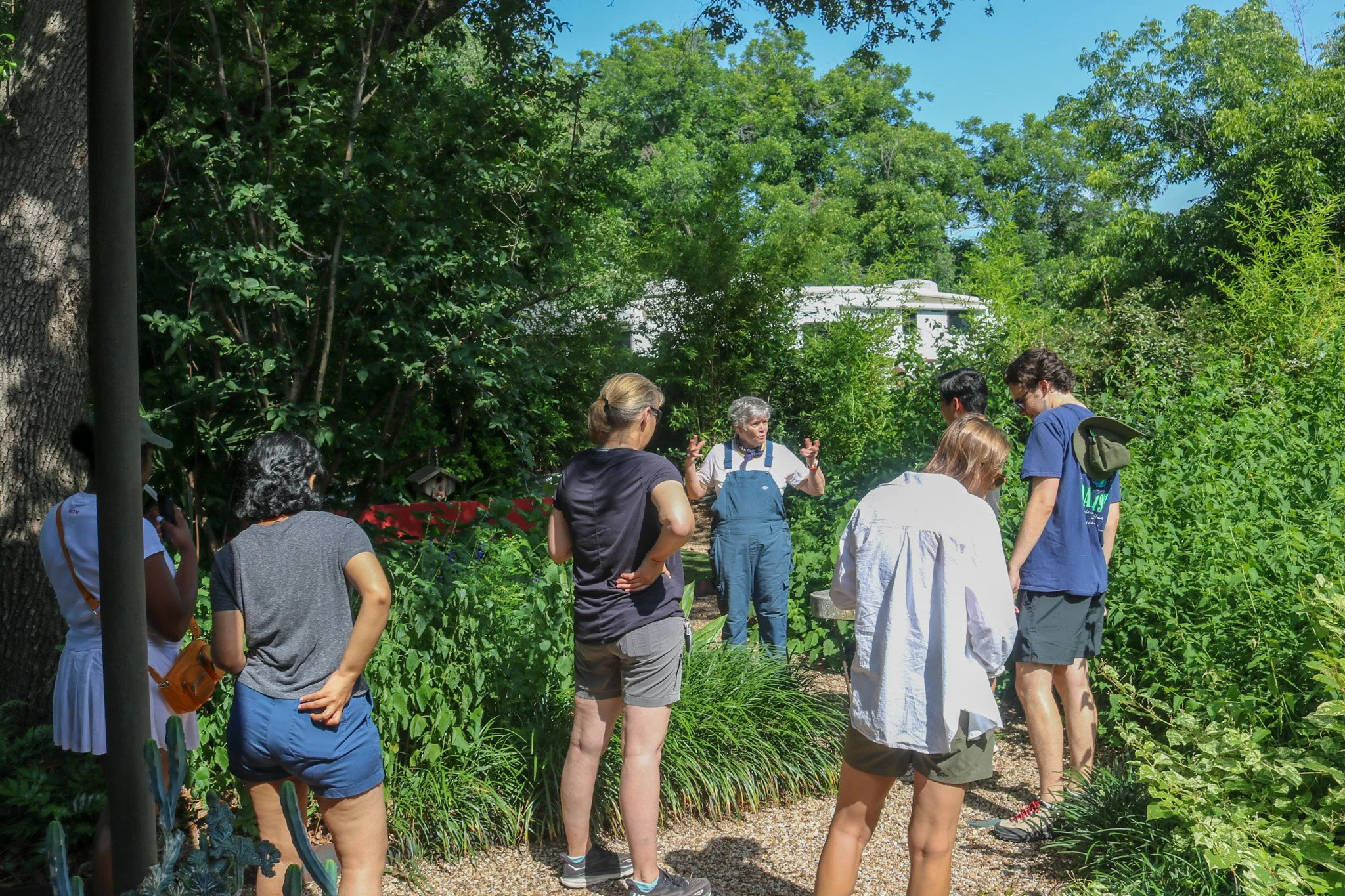 Inside Outsider Gardens