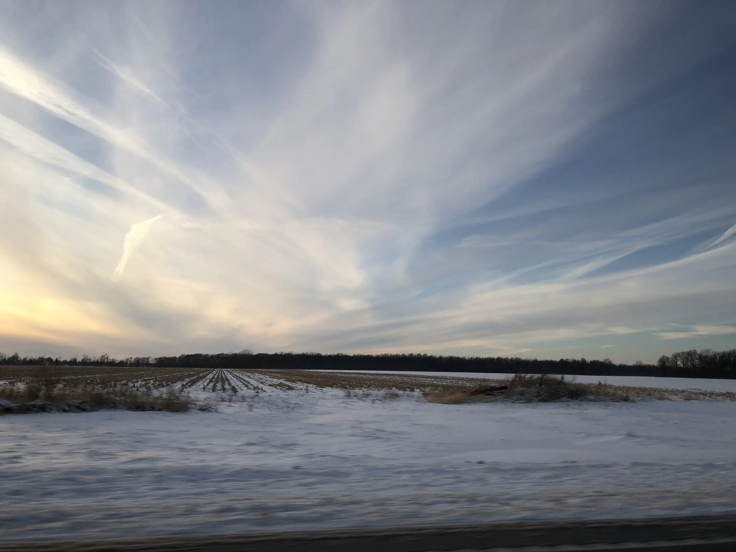 We Have Nature at Home