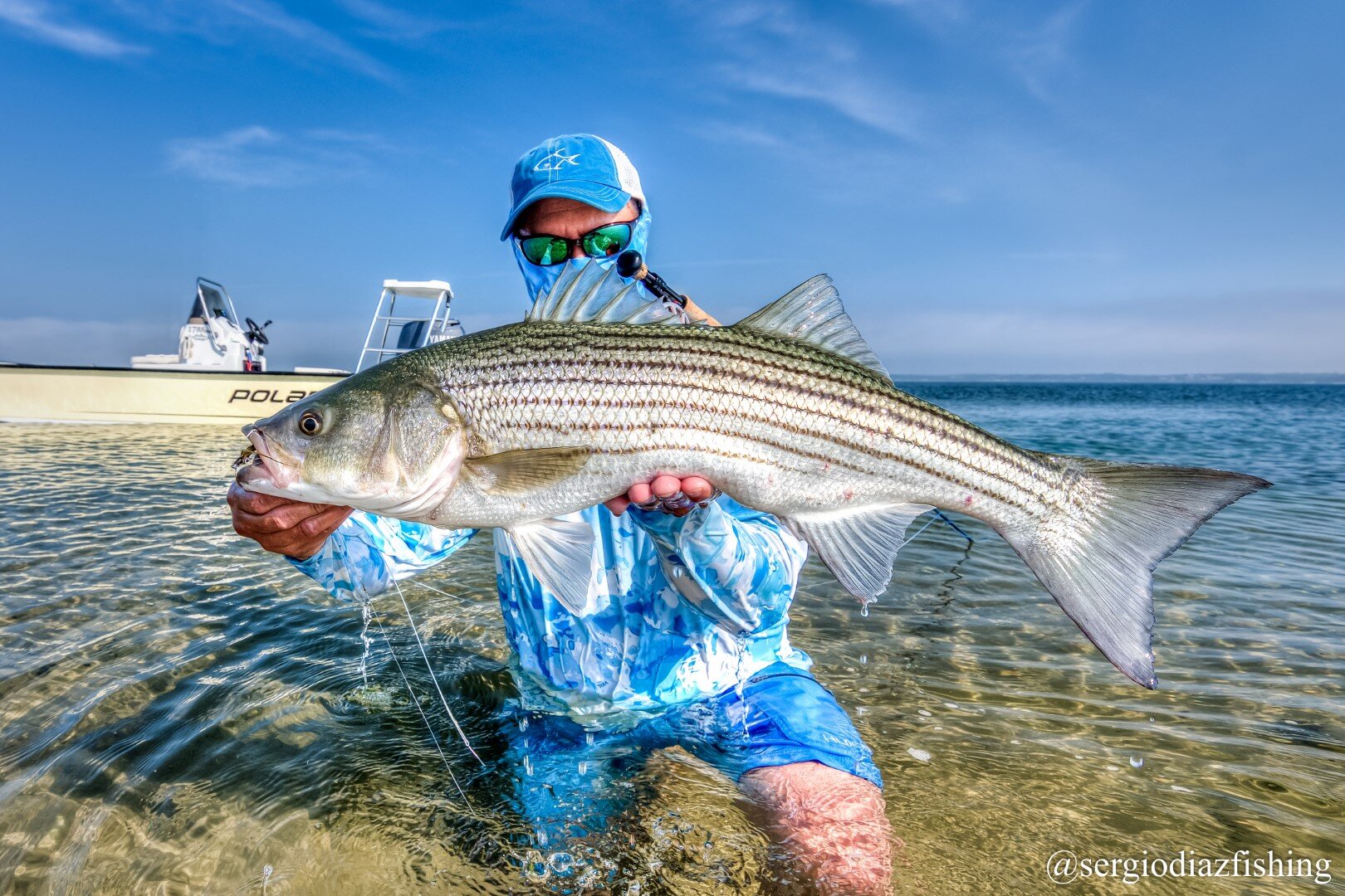 Sight Fishing for Striped Bass