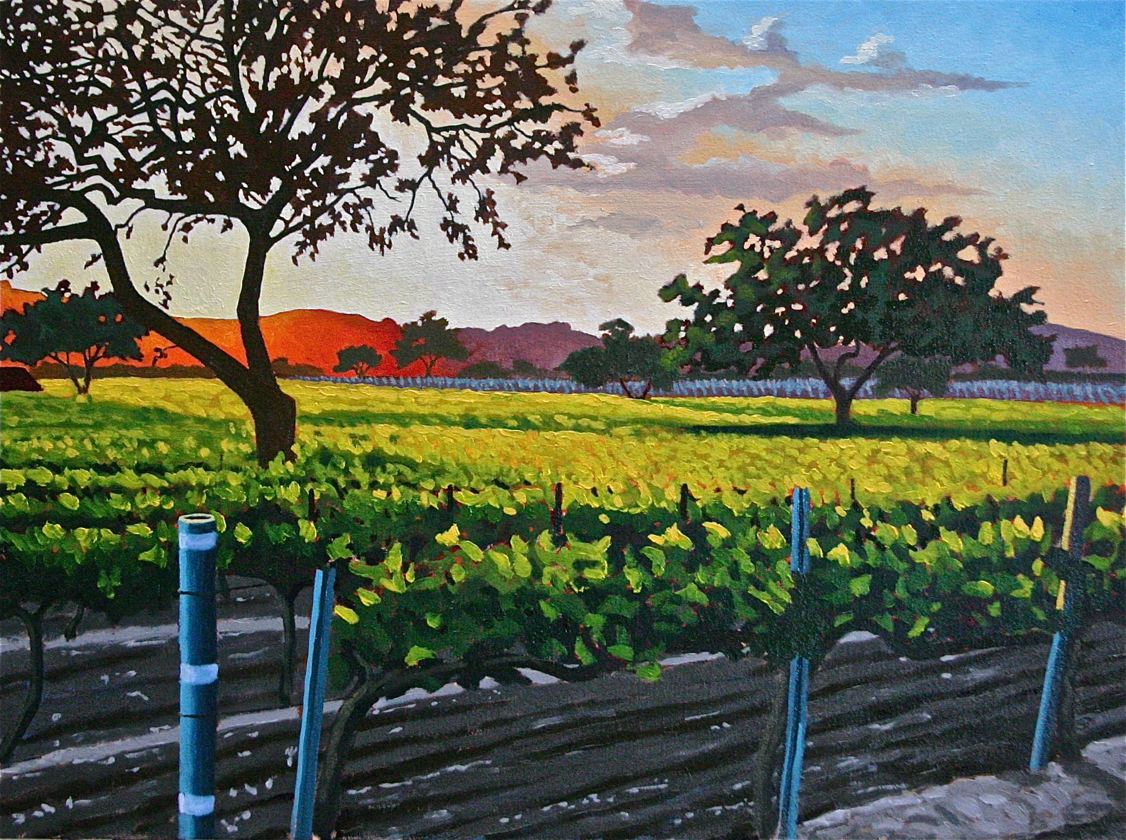 "Los Olivos Sunset" oil on canvas 24 x 30