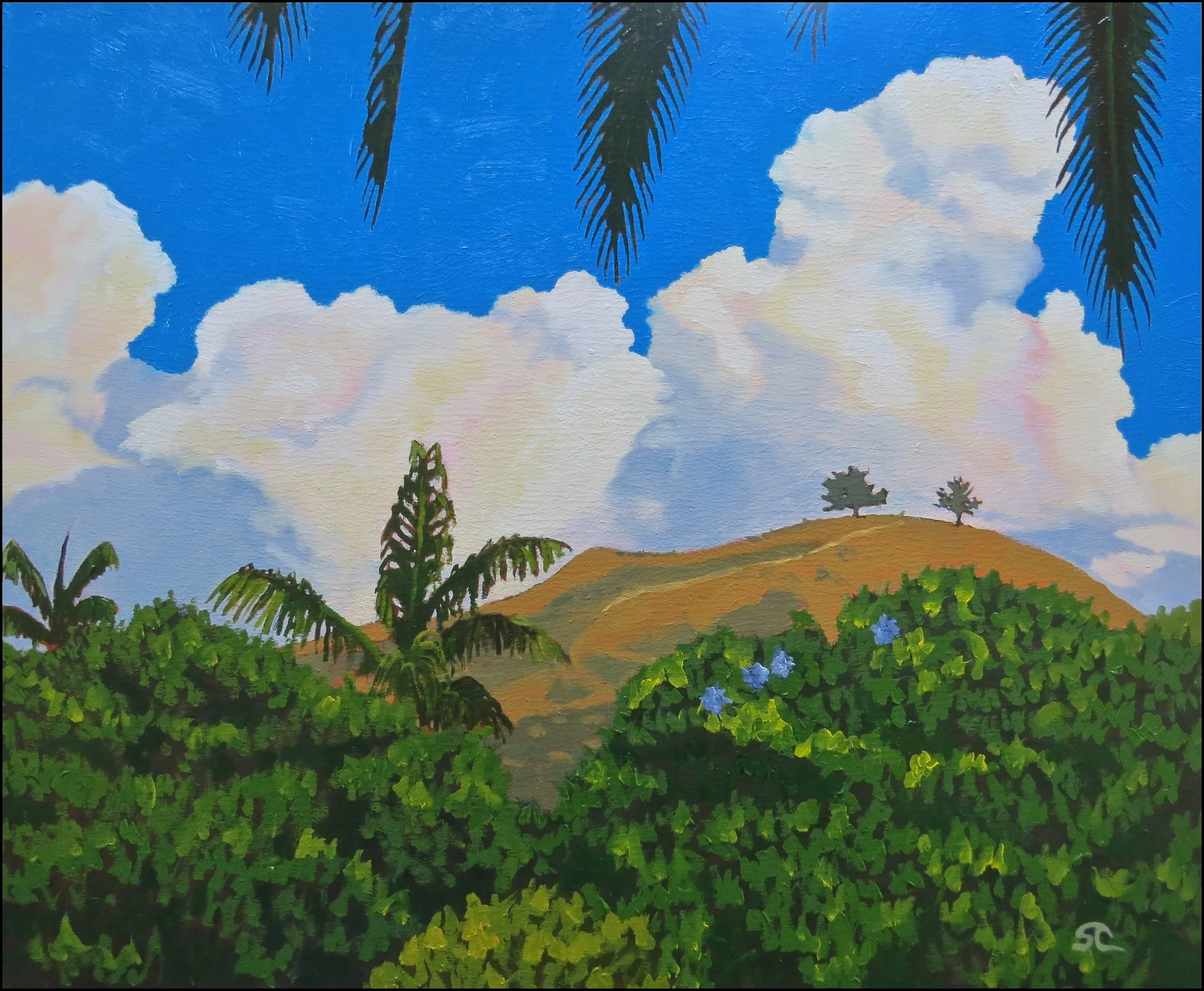 "From Trader Joe's Parking Lot" oil on panel 20 x 24