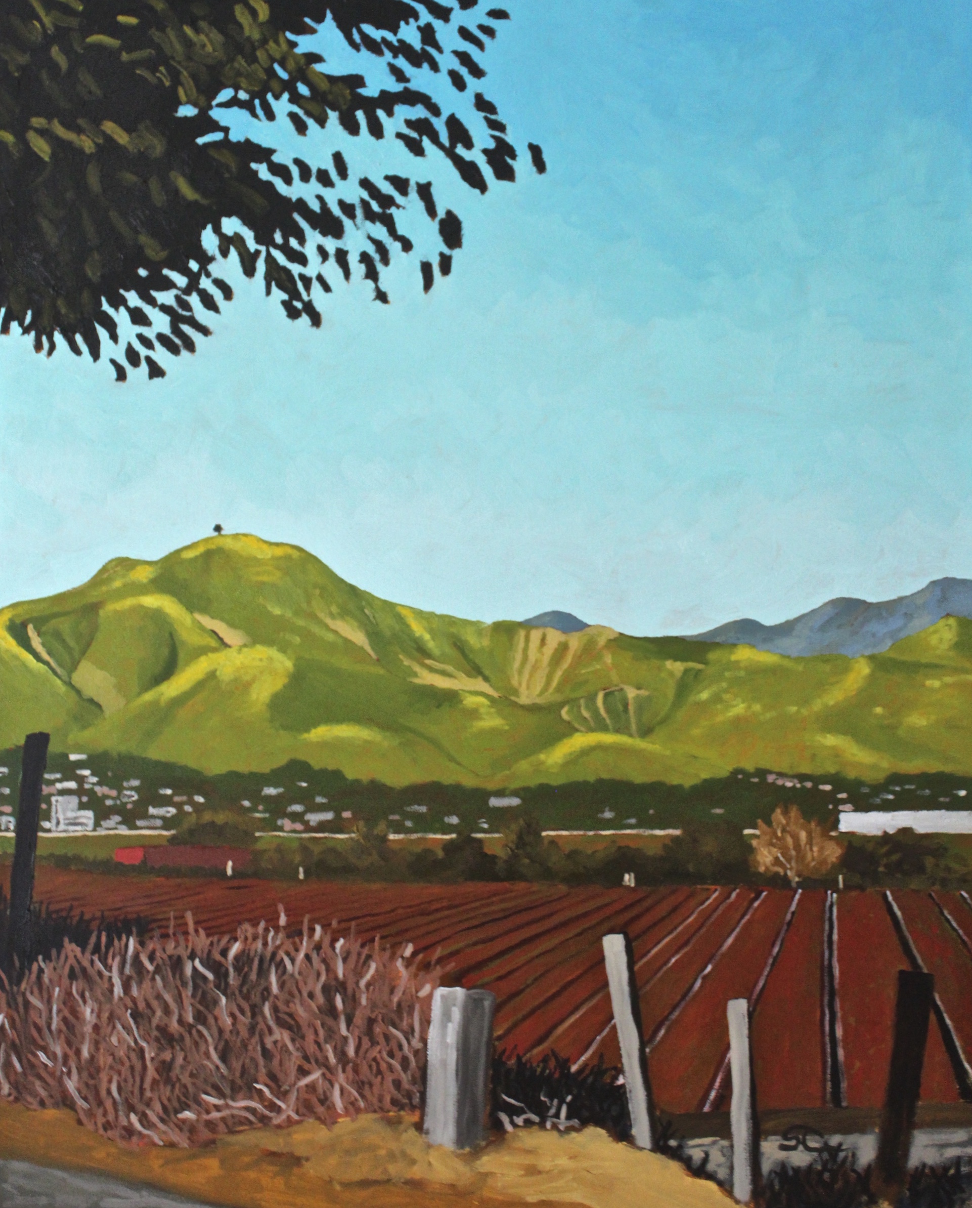 "Springtime Strawberry Fields" oil on canvas 24x30