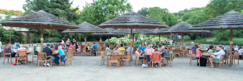 2013-Zoovies-Event-18