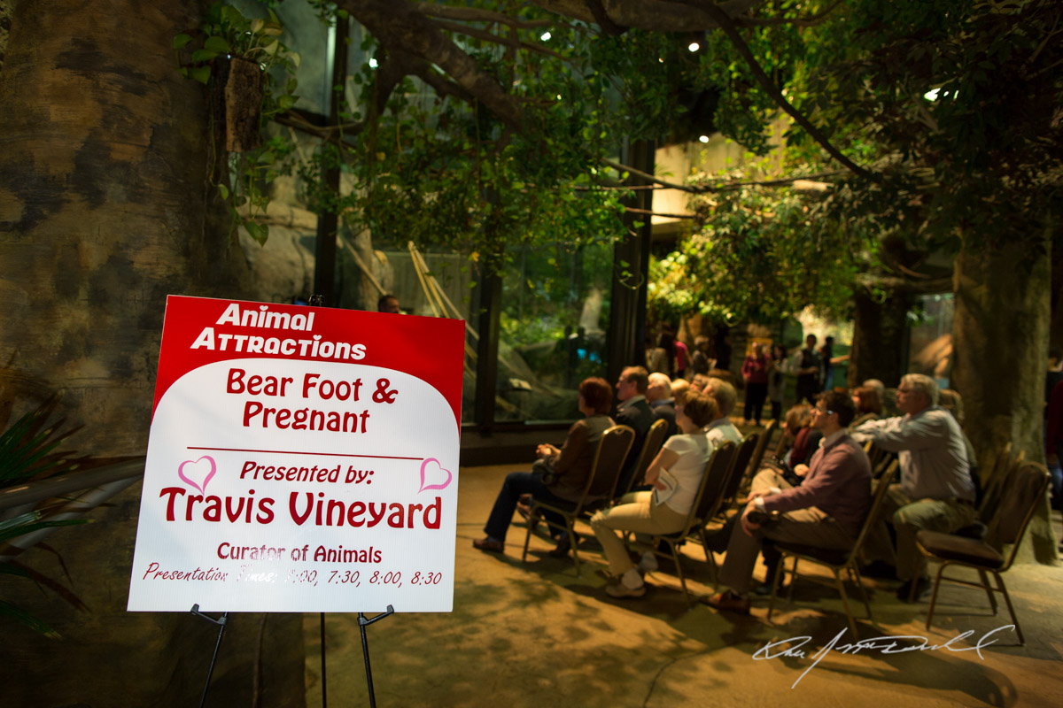 CSZ-Animal-Attractions-5D3B_2204.jpg