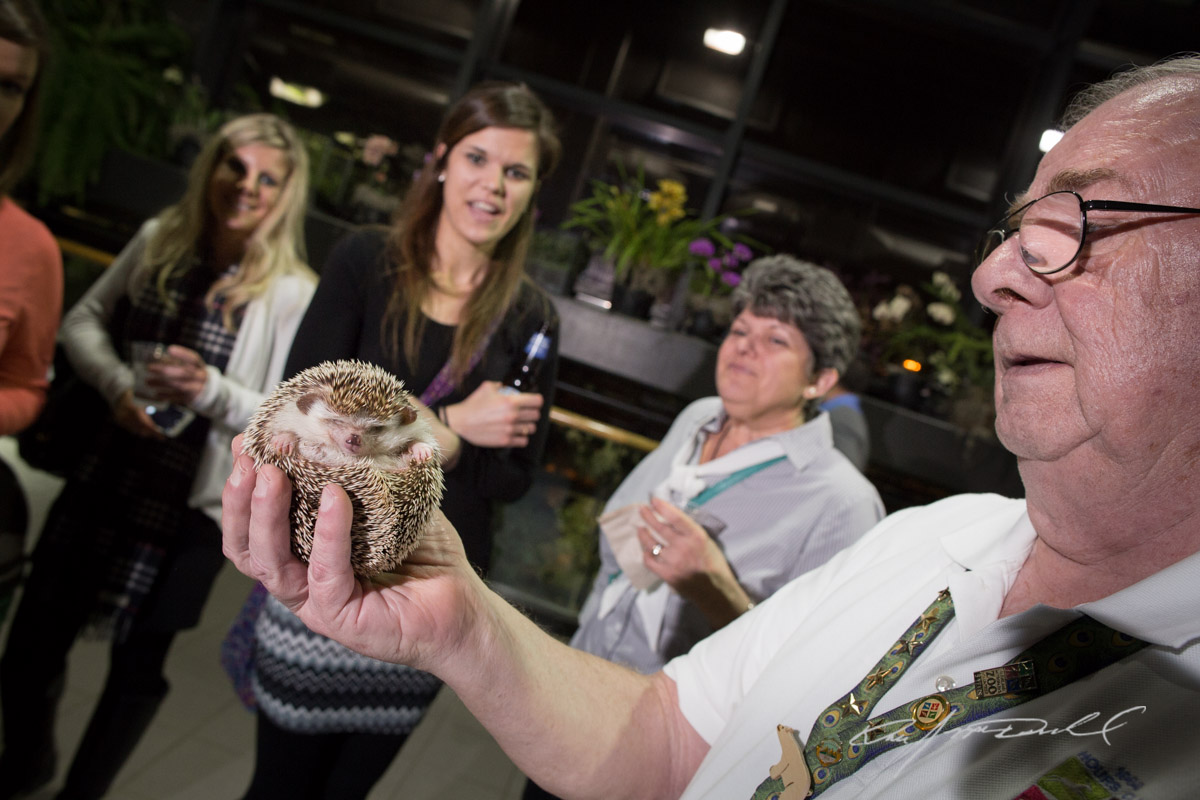 CSZ-Animal-Attractions-5D3B_2226.jpg