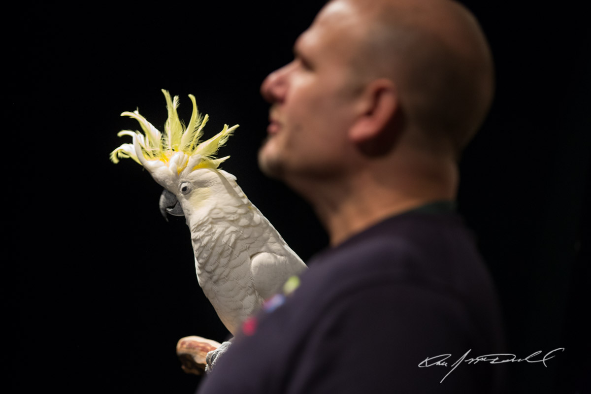 CSZ-Animal-Attractions-5D3A_9910-Edit.jpg